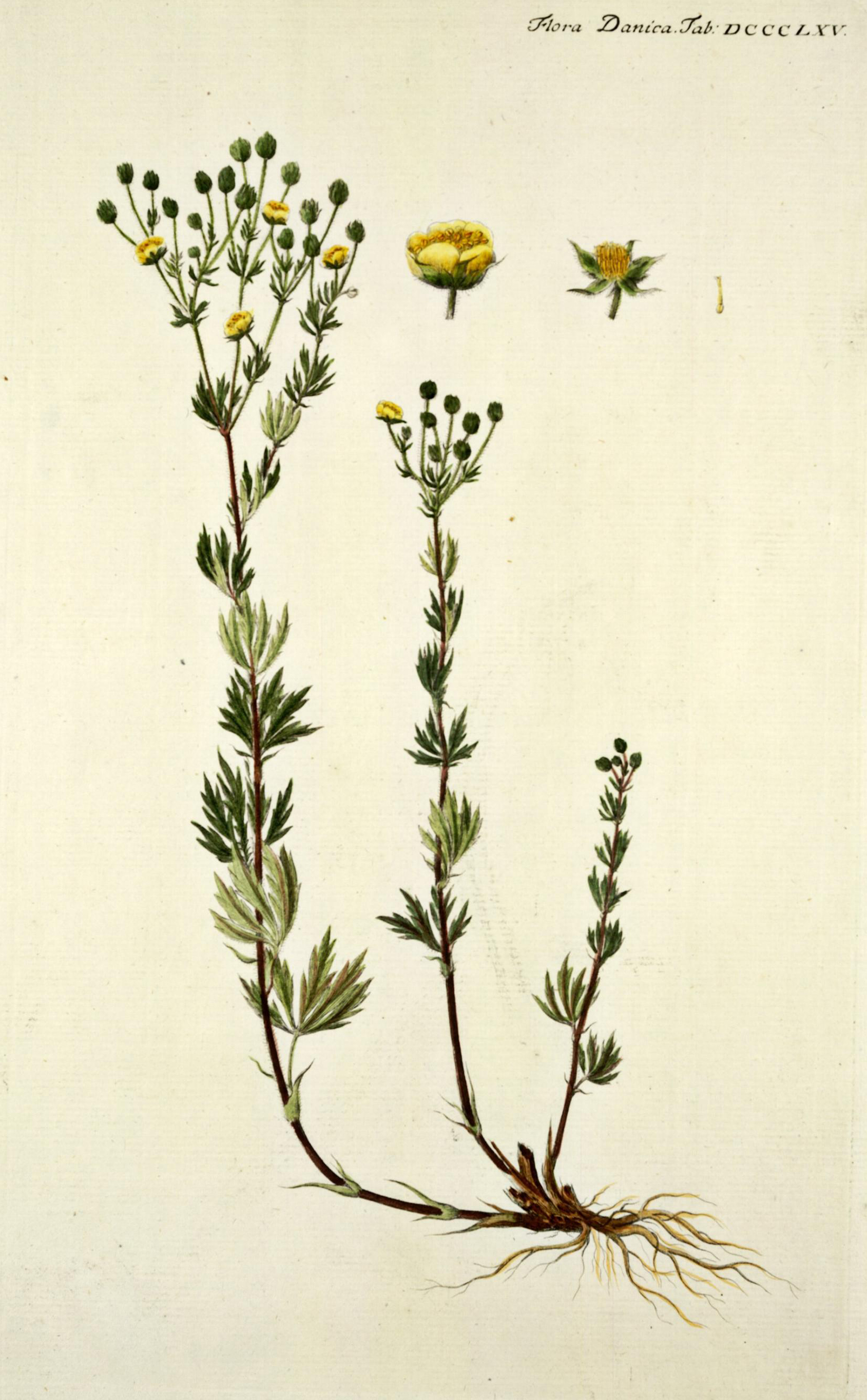 no full size  illustration available (3a)