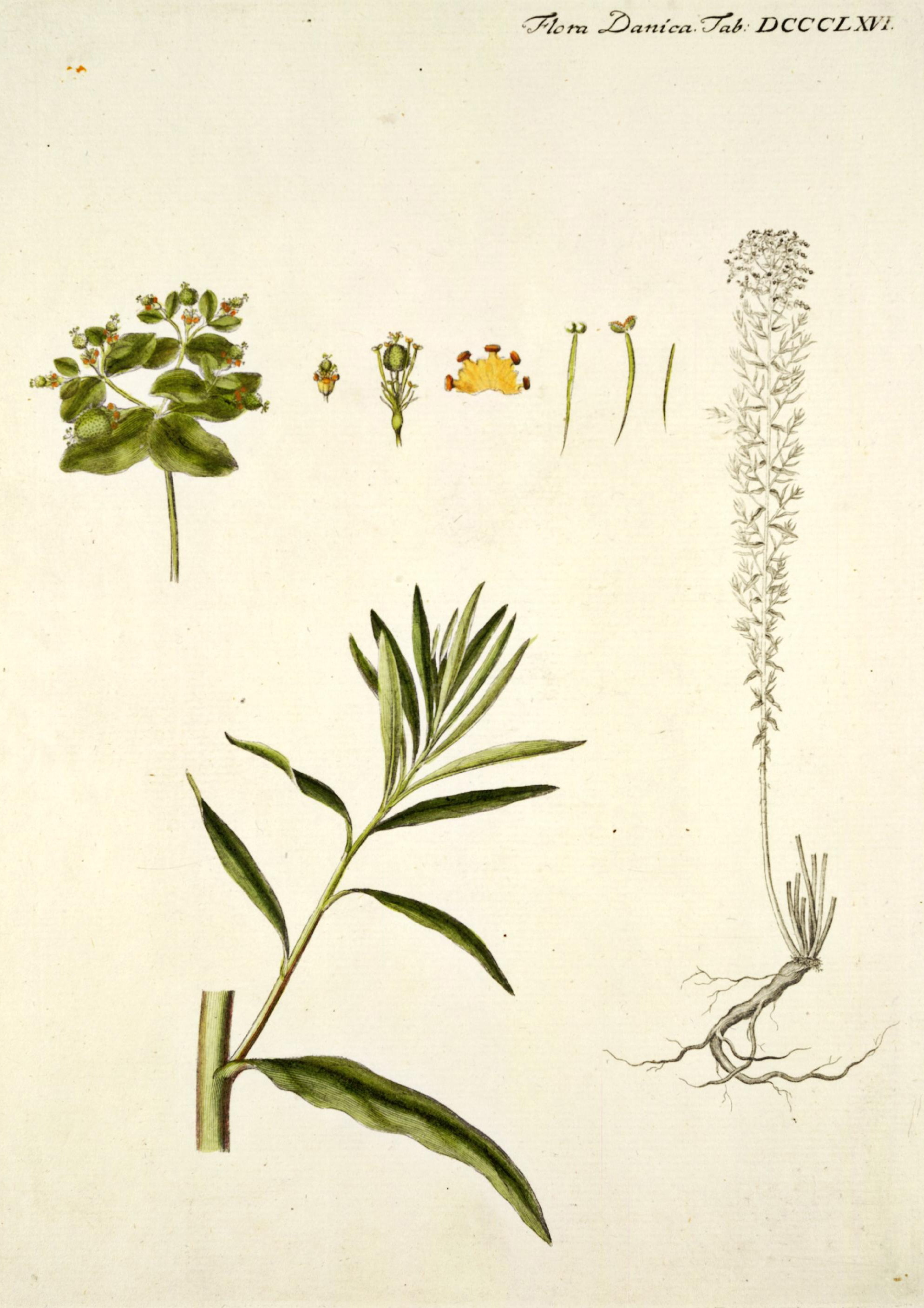 no full size  illustration available (3a)