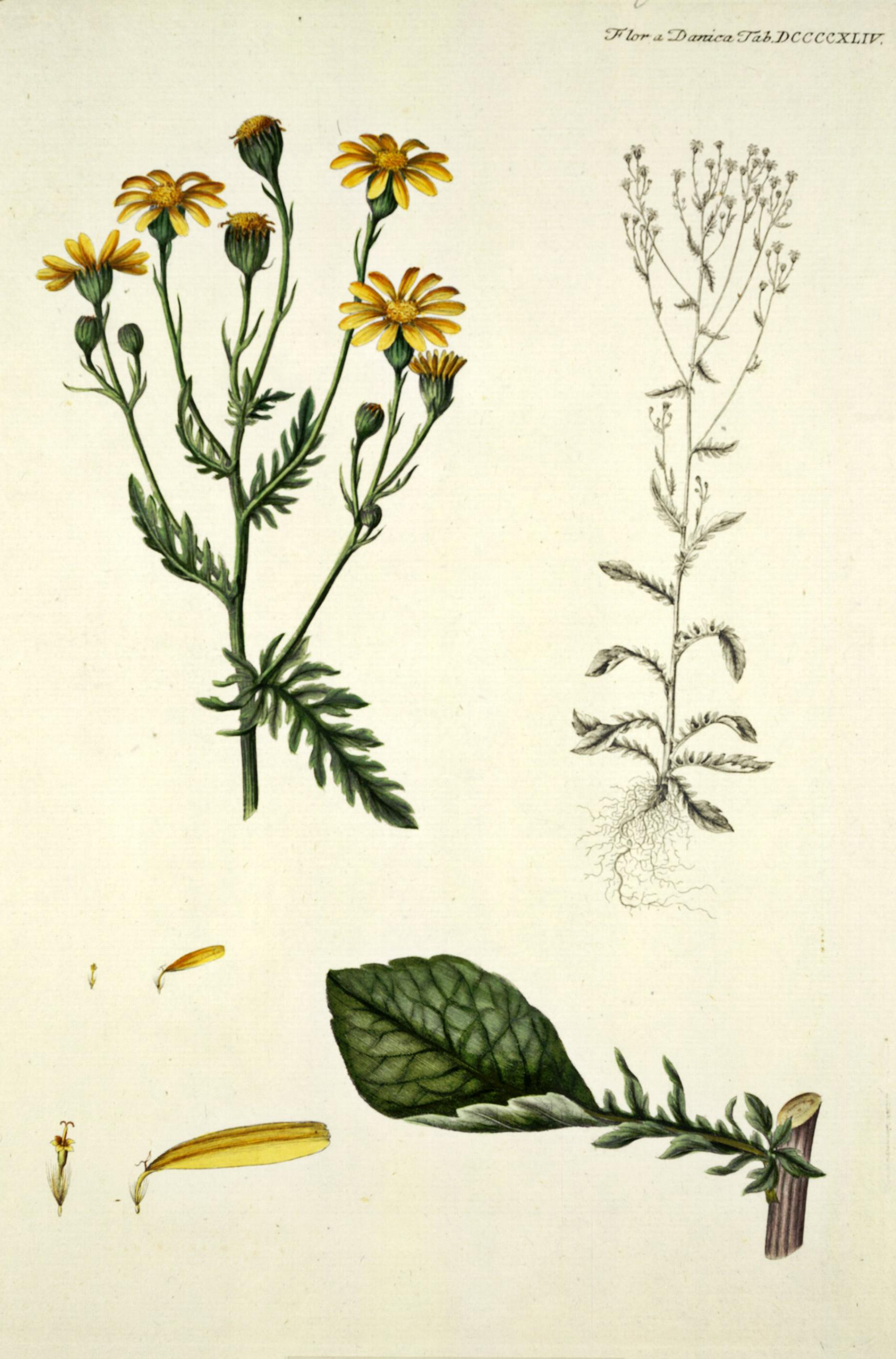 no full size  illustration available (3a)