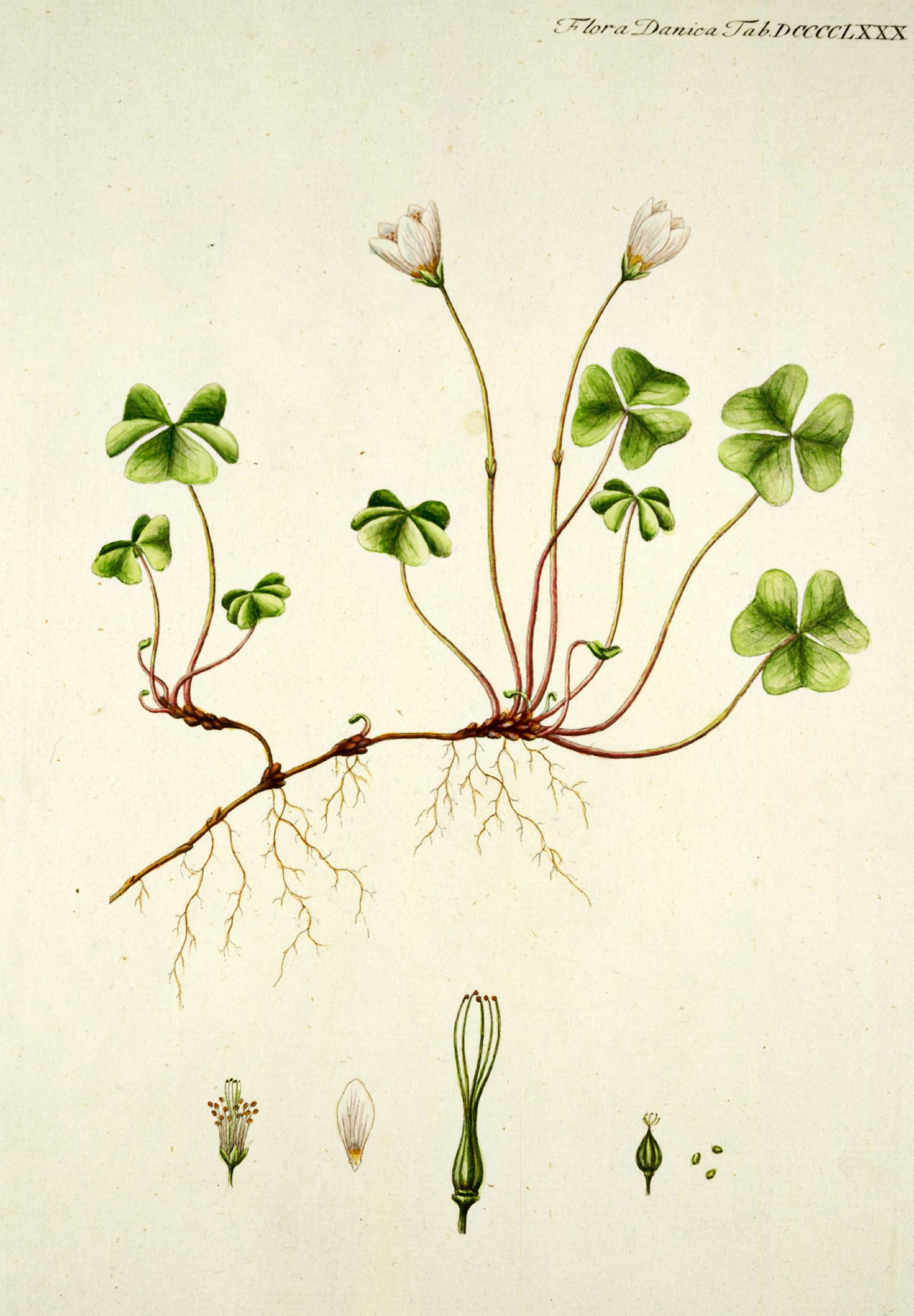 no full size  illustration available (3a)