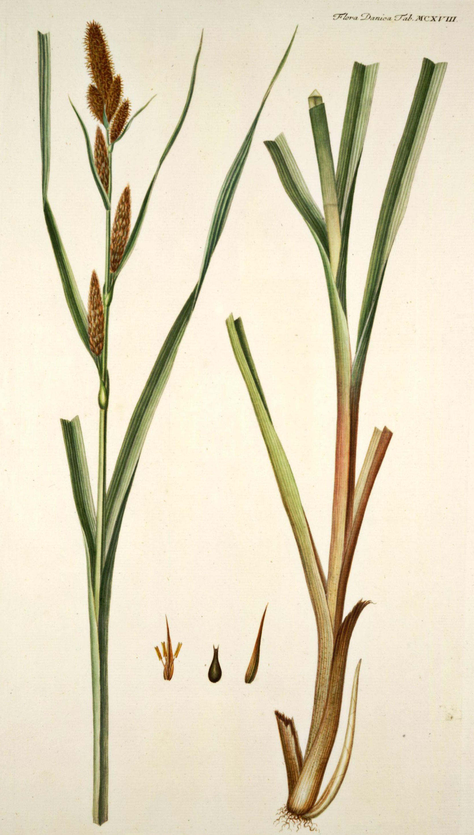 no full size  illustration available (3a)