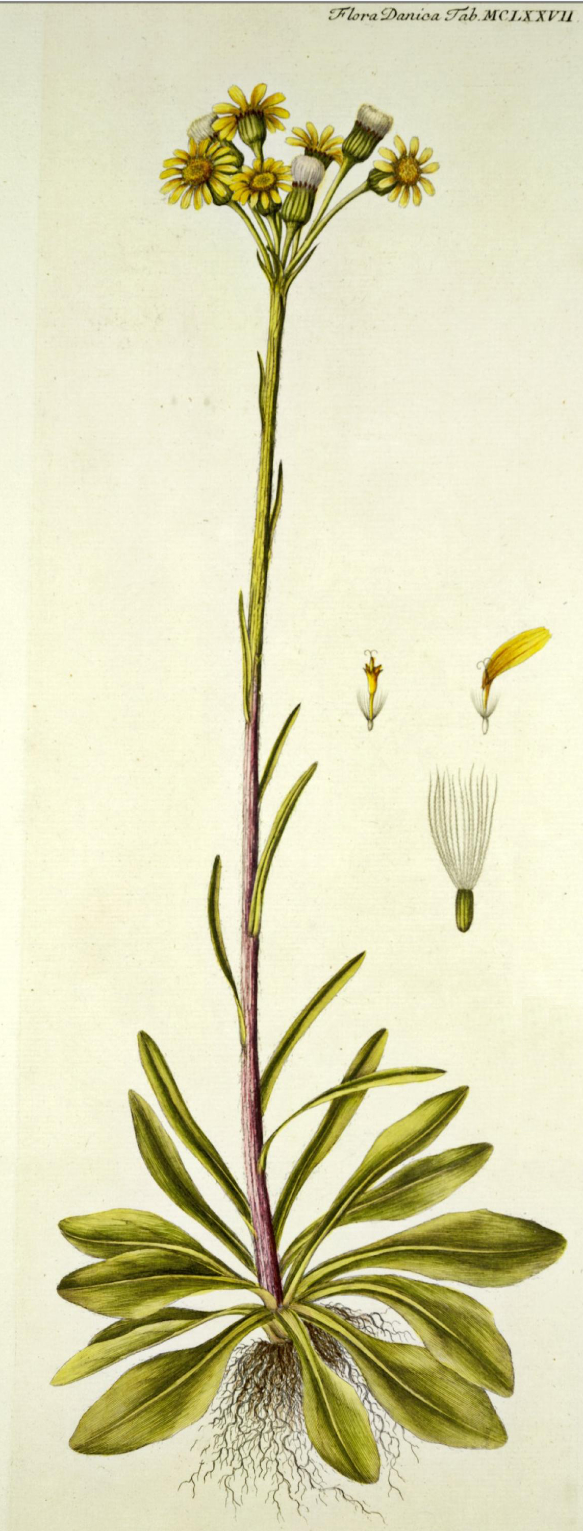 no full size  illustration available (3a)