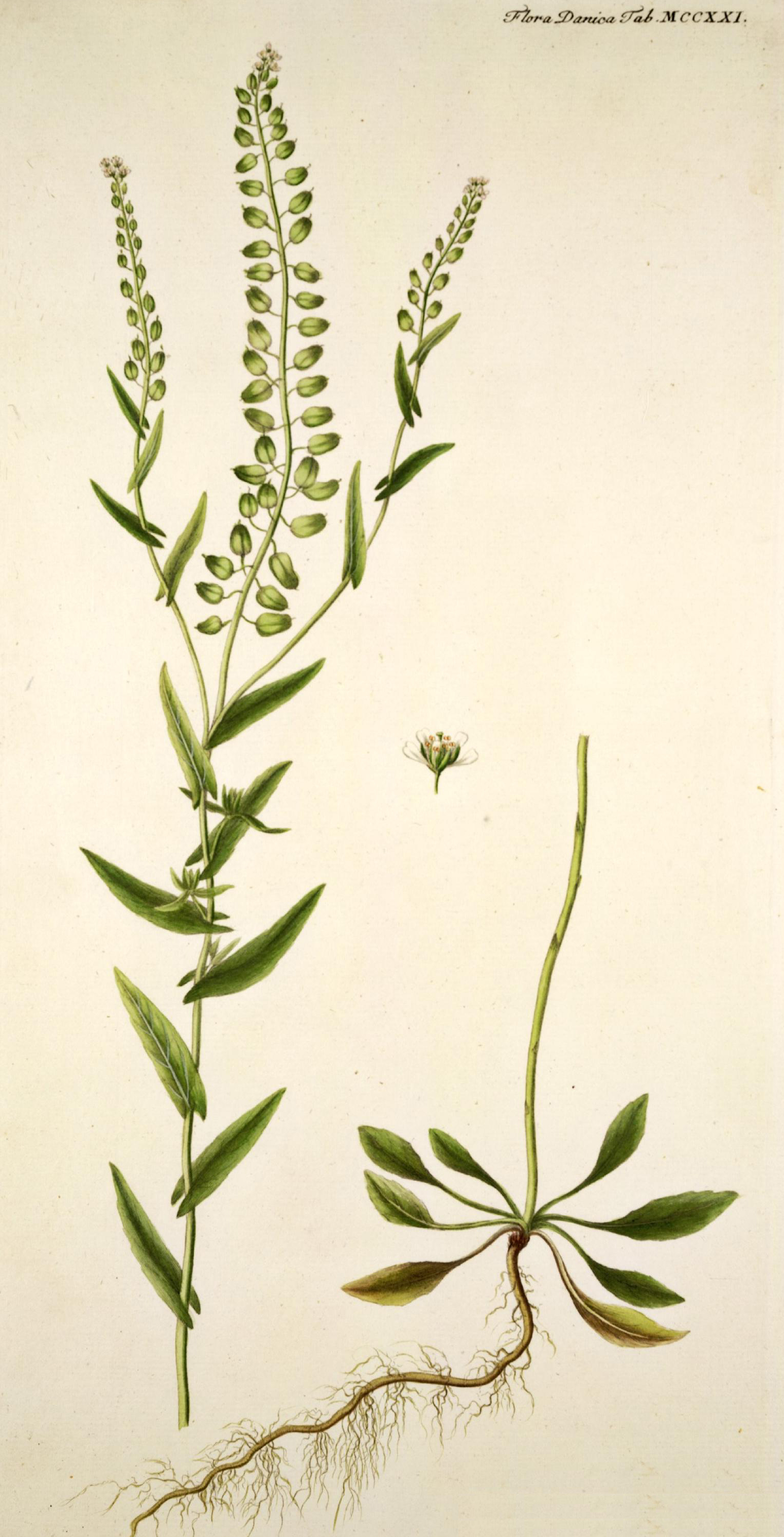 no full size  illustration available (3a)