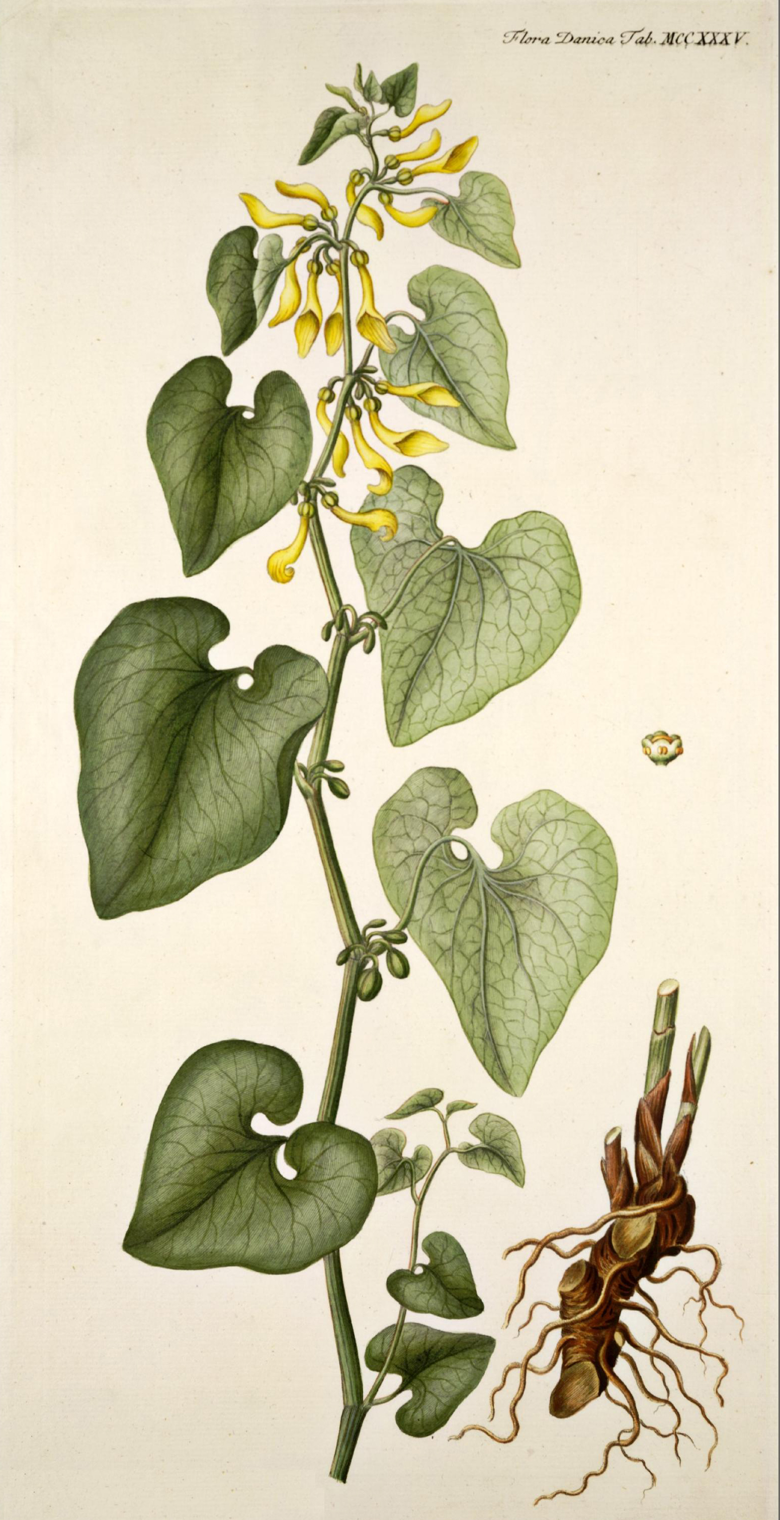 no full size  illustration available (3a)