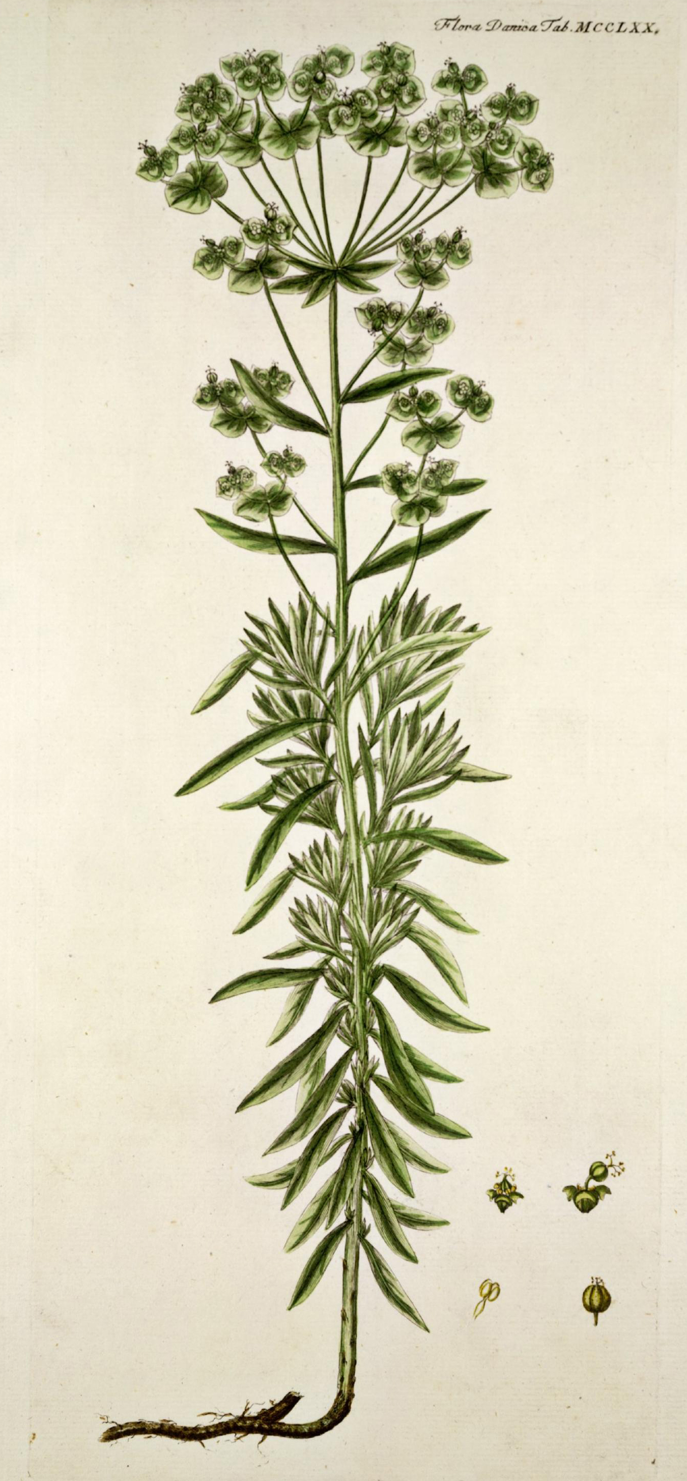 no full size  illustration available (3a)