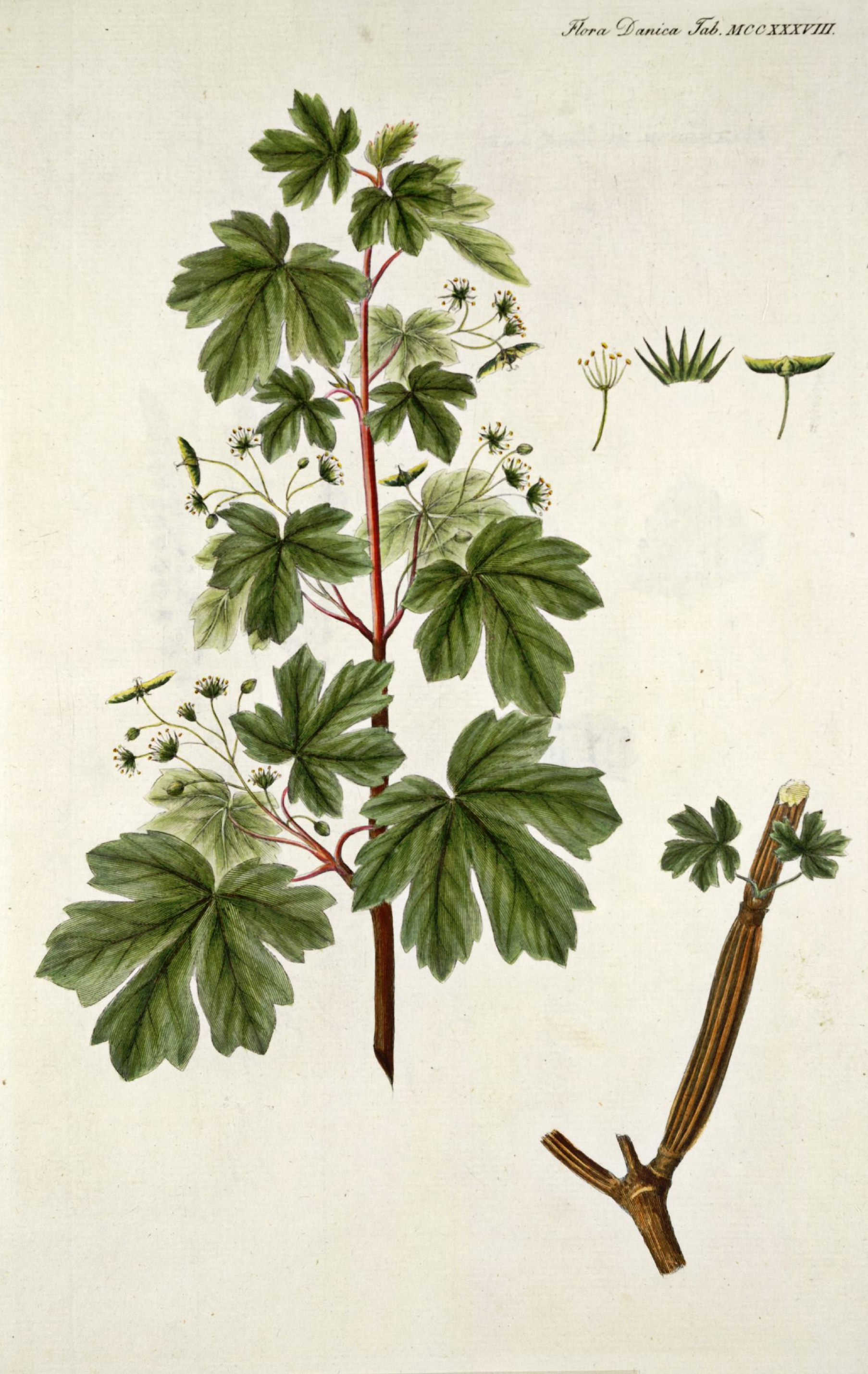 no full size  illustration available (3a)