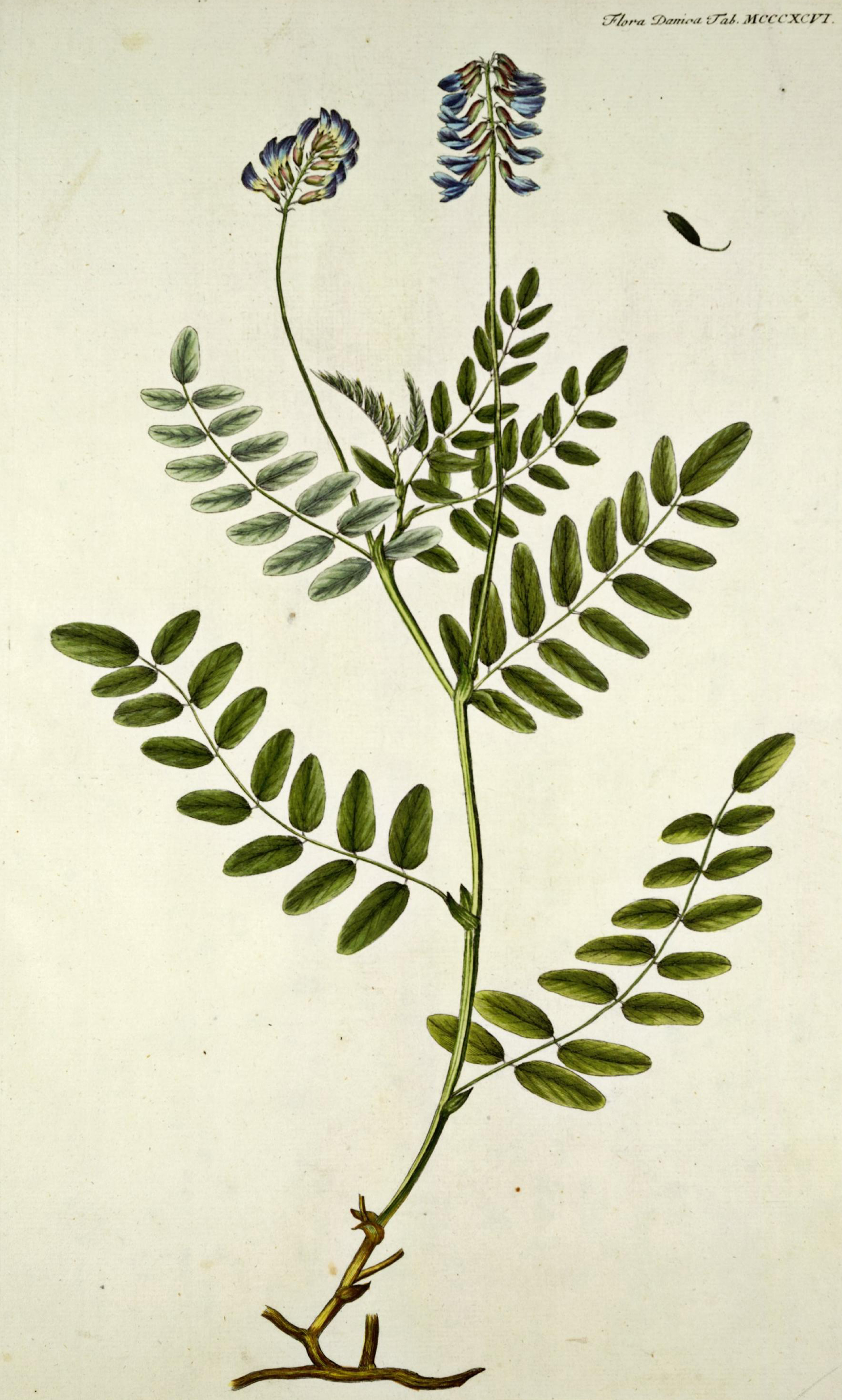 no full size  illustration available (3a)