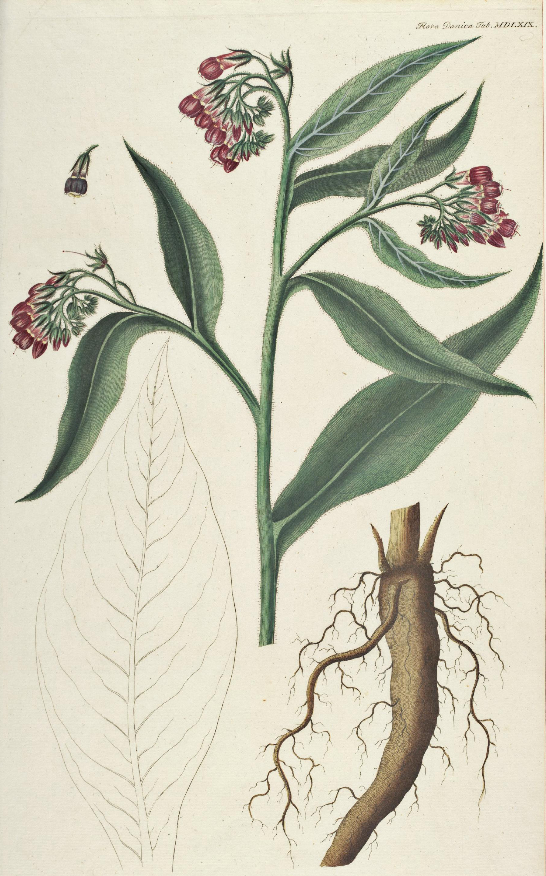 no full size  illustration available (3a)