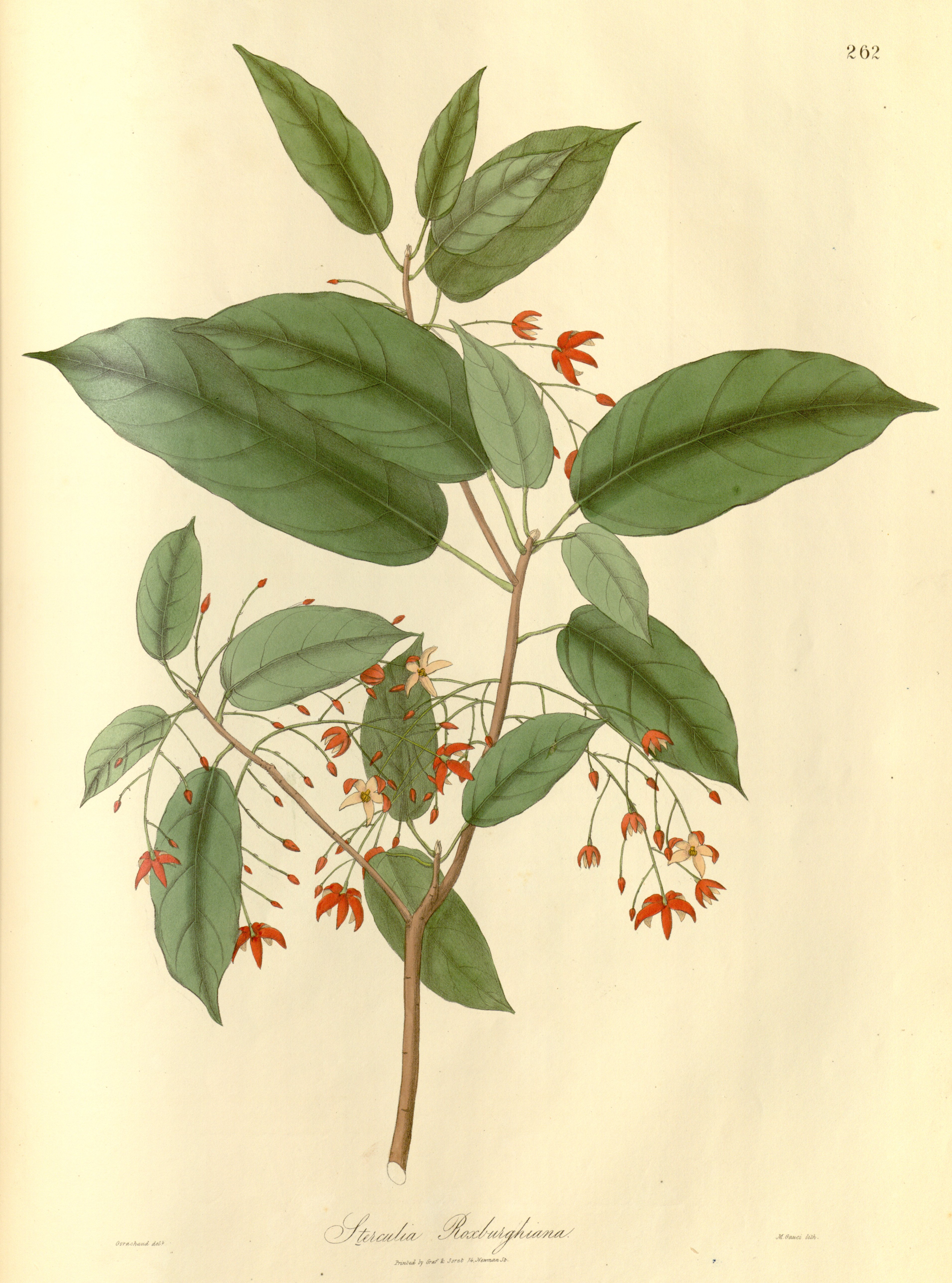 no full size  illustration available (3a)