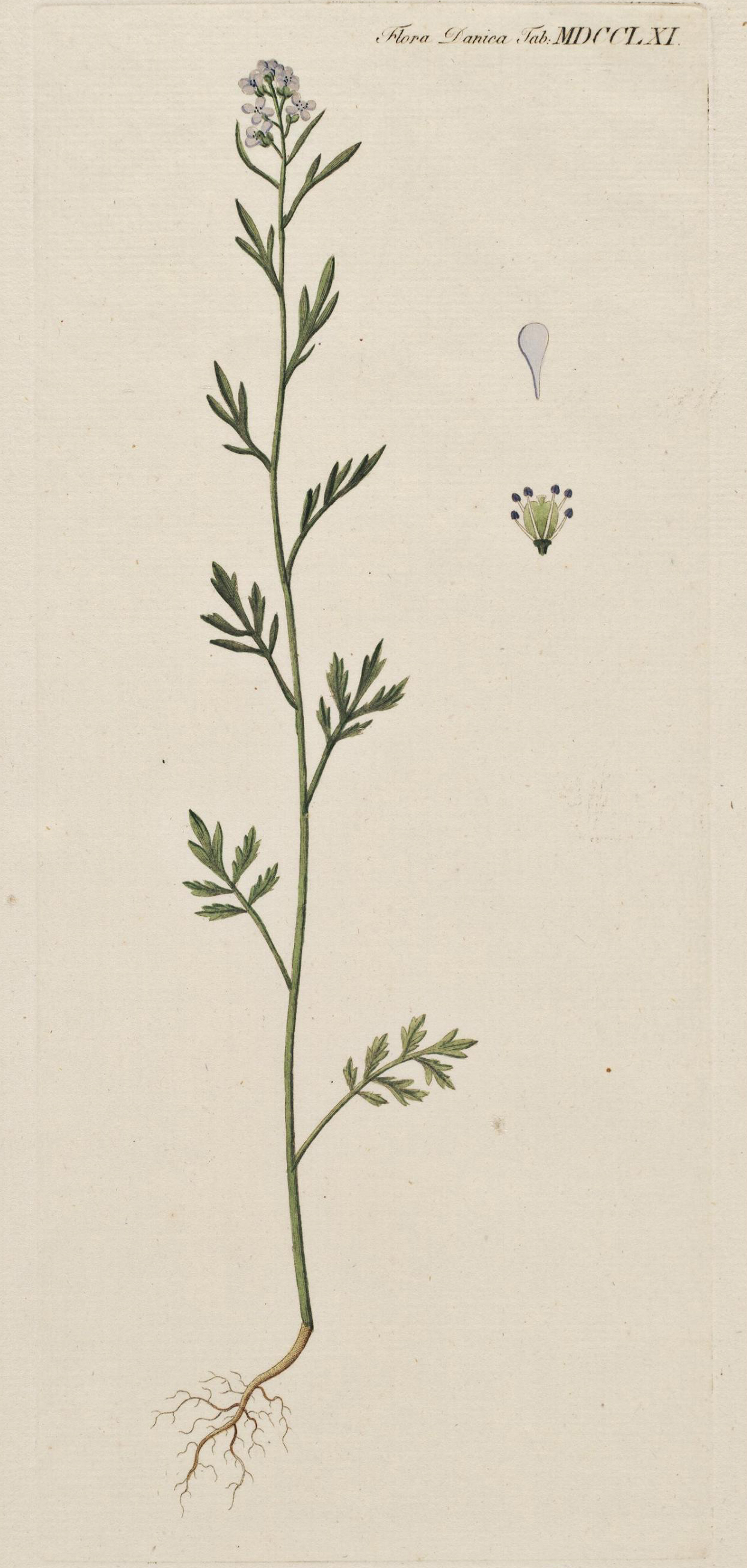 no full size  illustration available (3a)