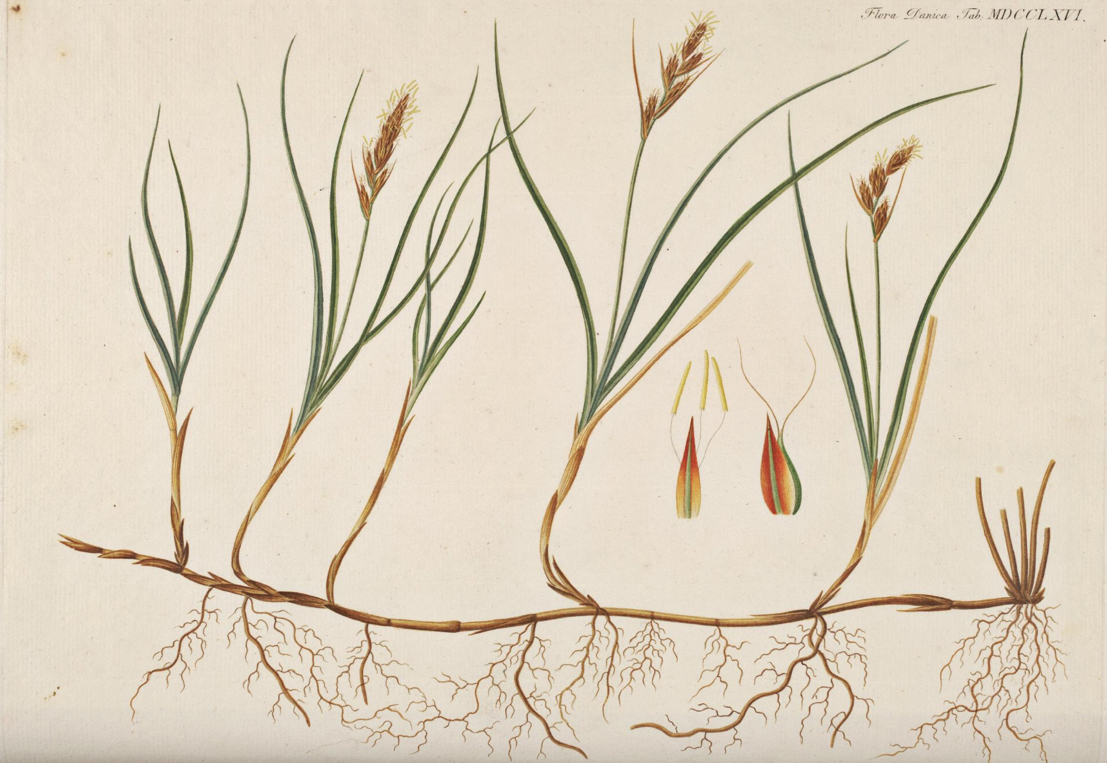 no full size  illustration available (3a)