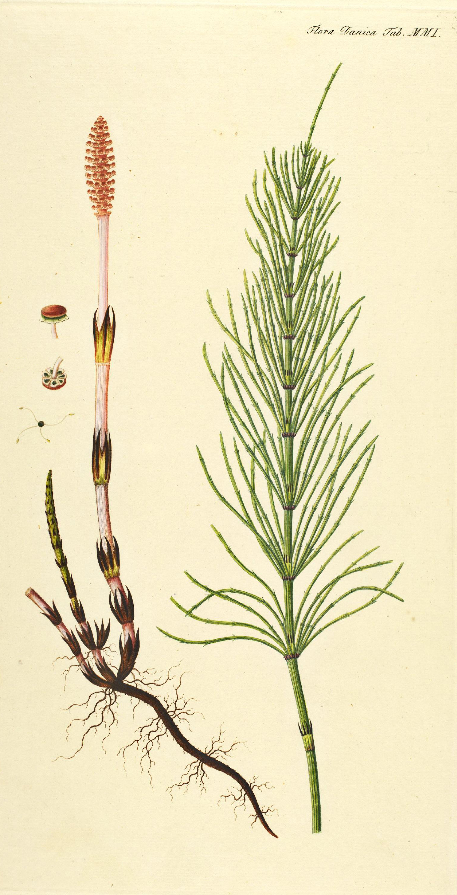 no full size  illustration available (3a)