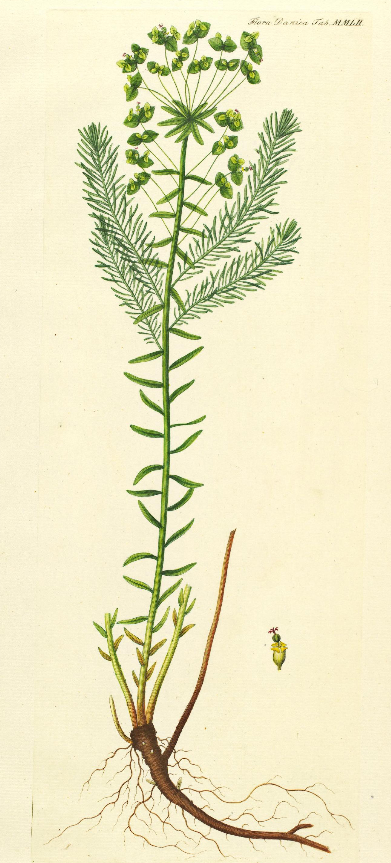 no full size  illustration available (3a)