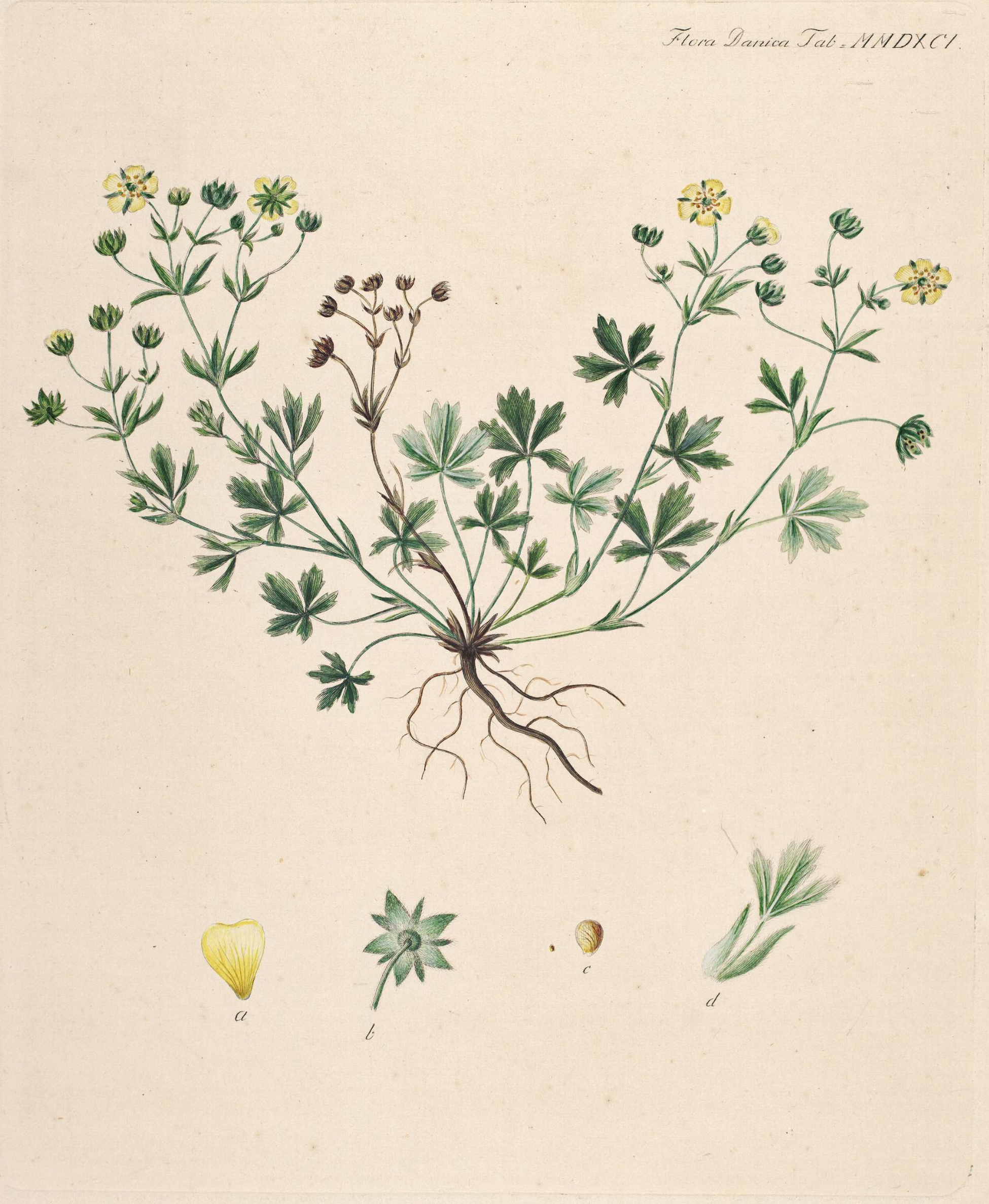 no full size  illustration available (3a)