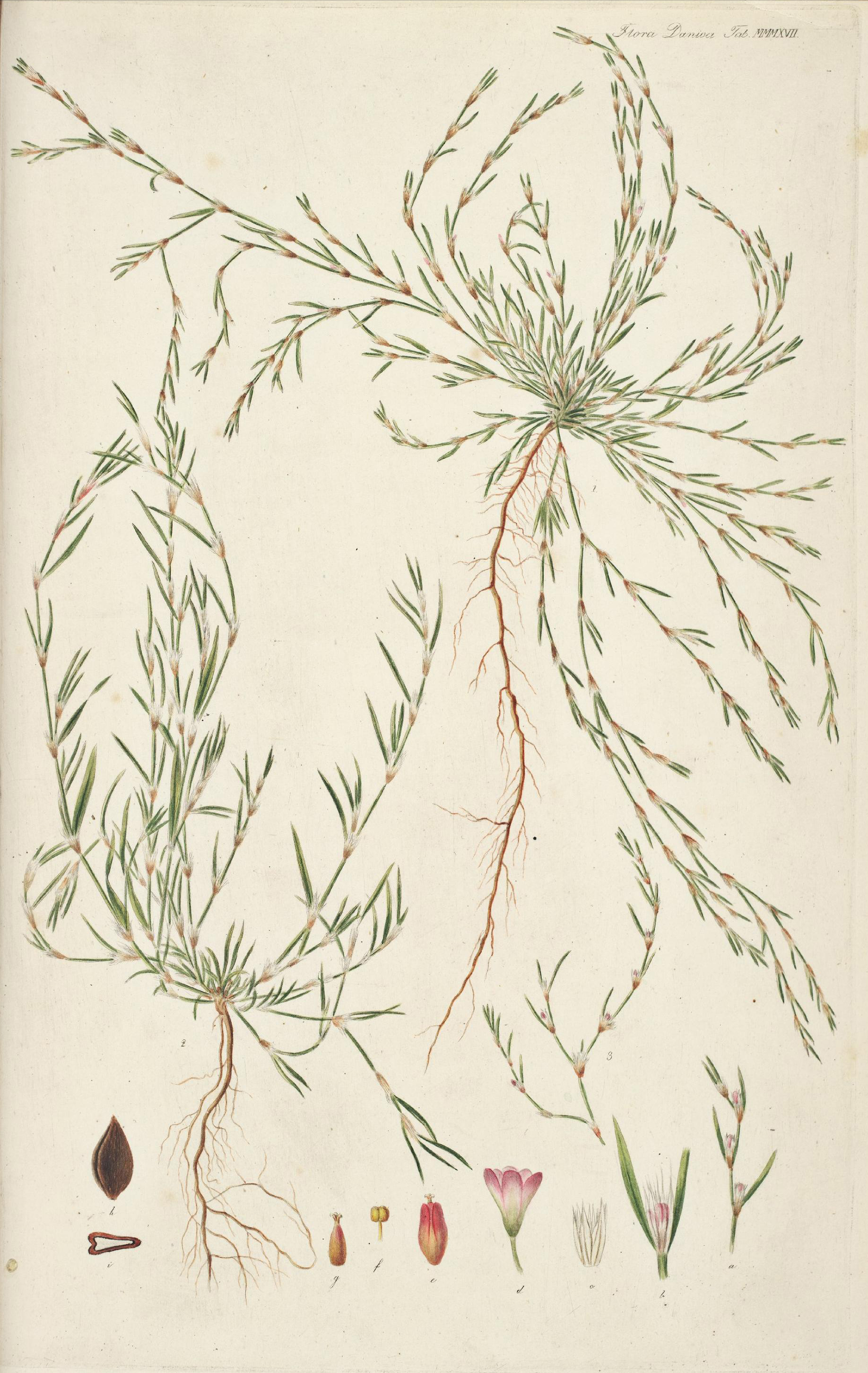 no full size  illustration available (3a)