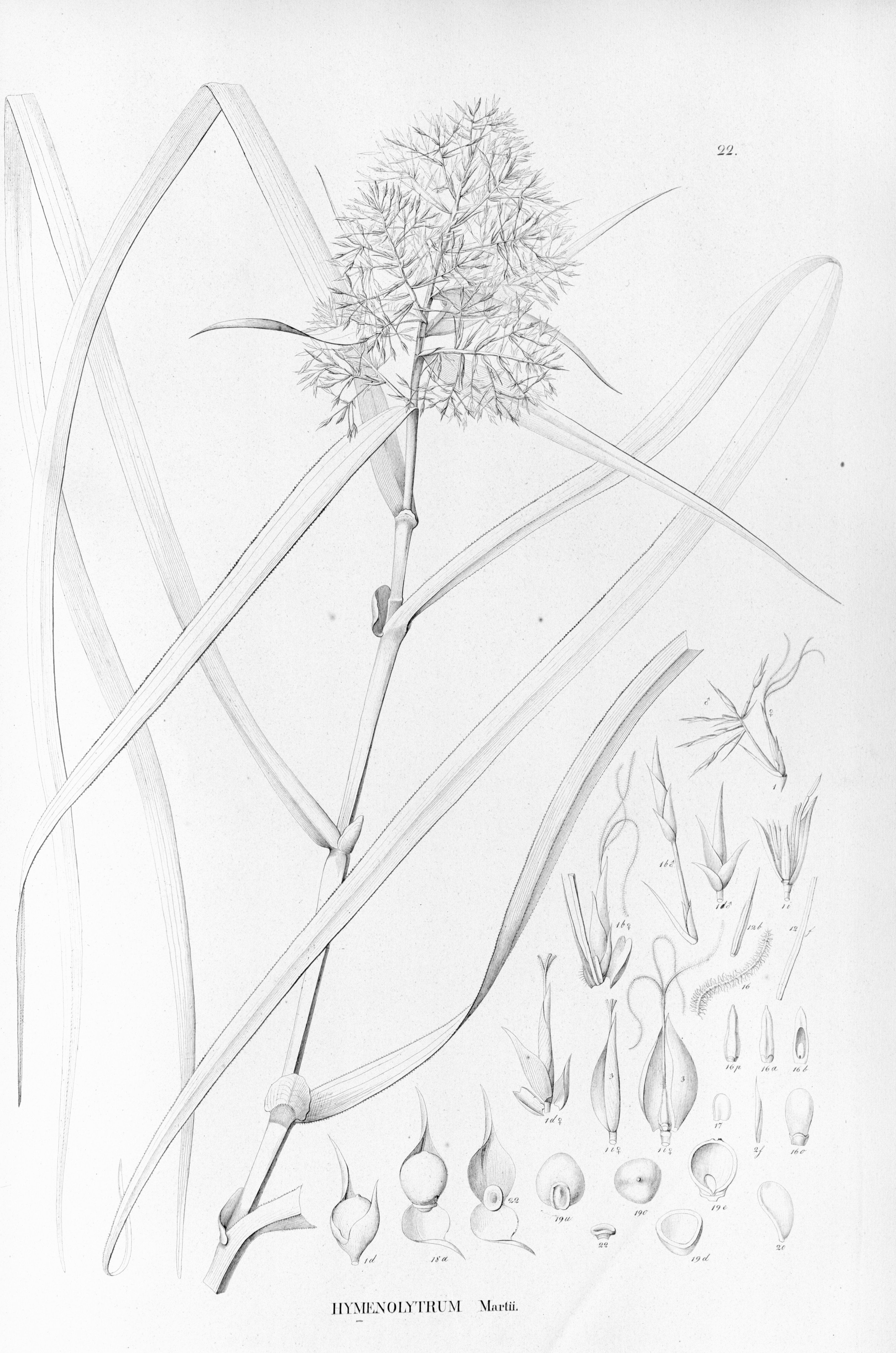 no full size  illustration available (3a)