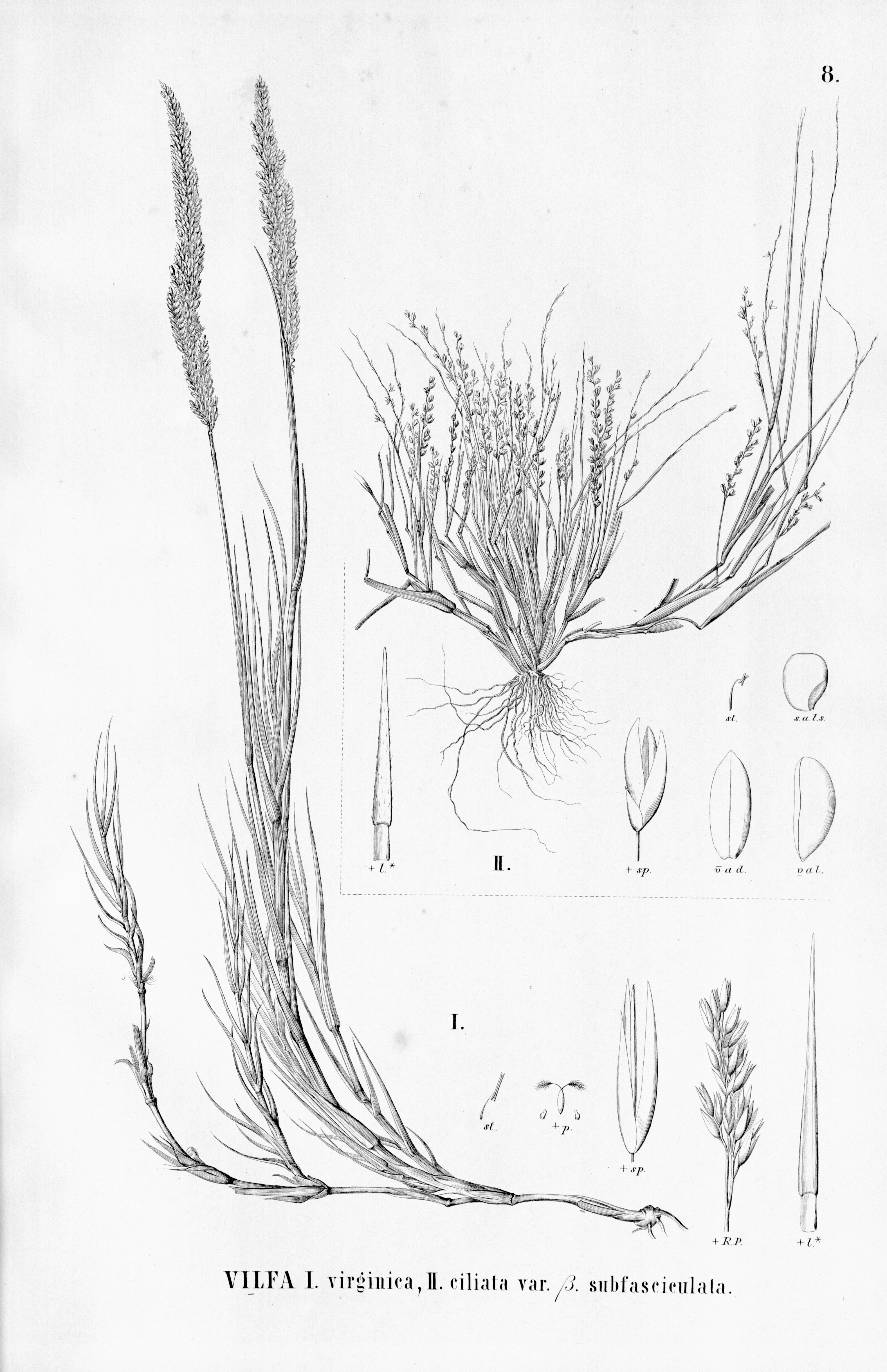 no full size  illustration available (3a)