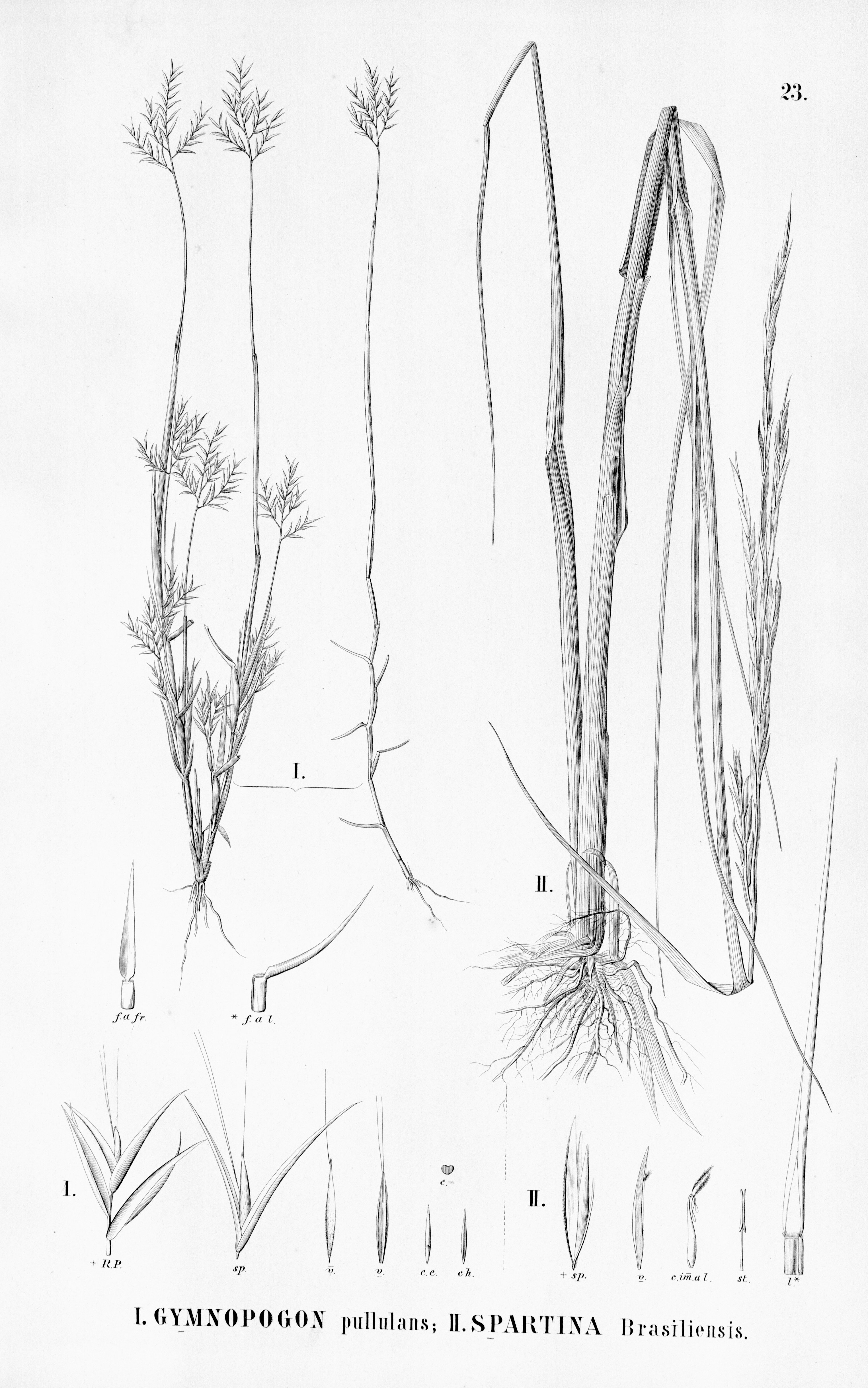 no full size  illustration available (3a)