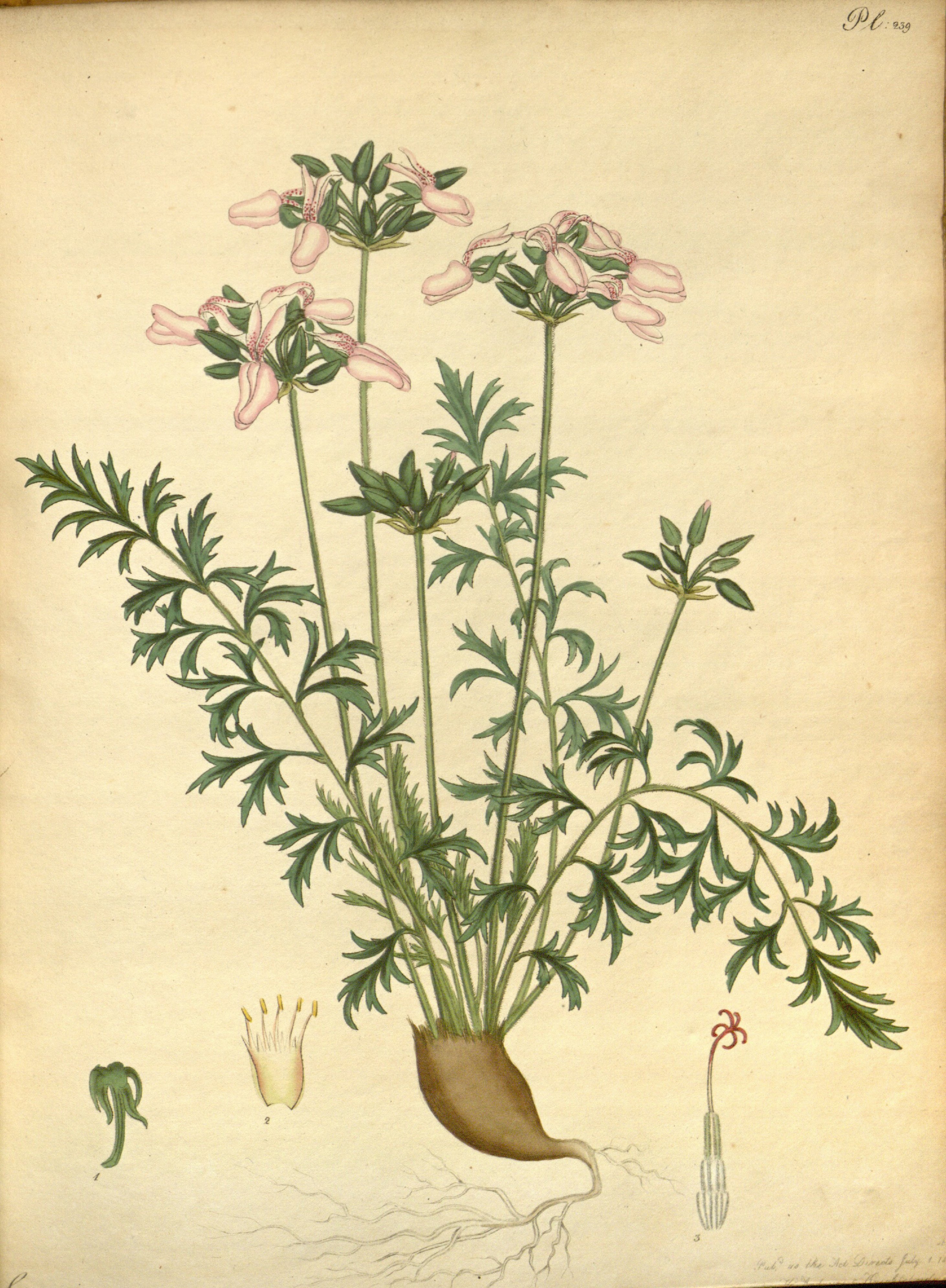 no full size  illustration available (3a)