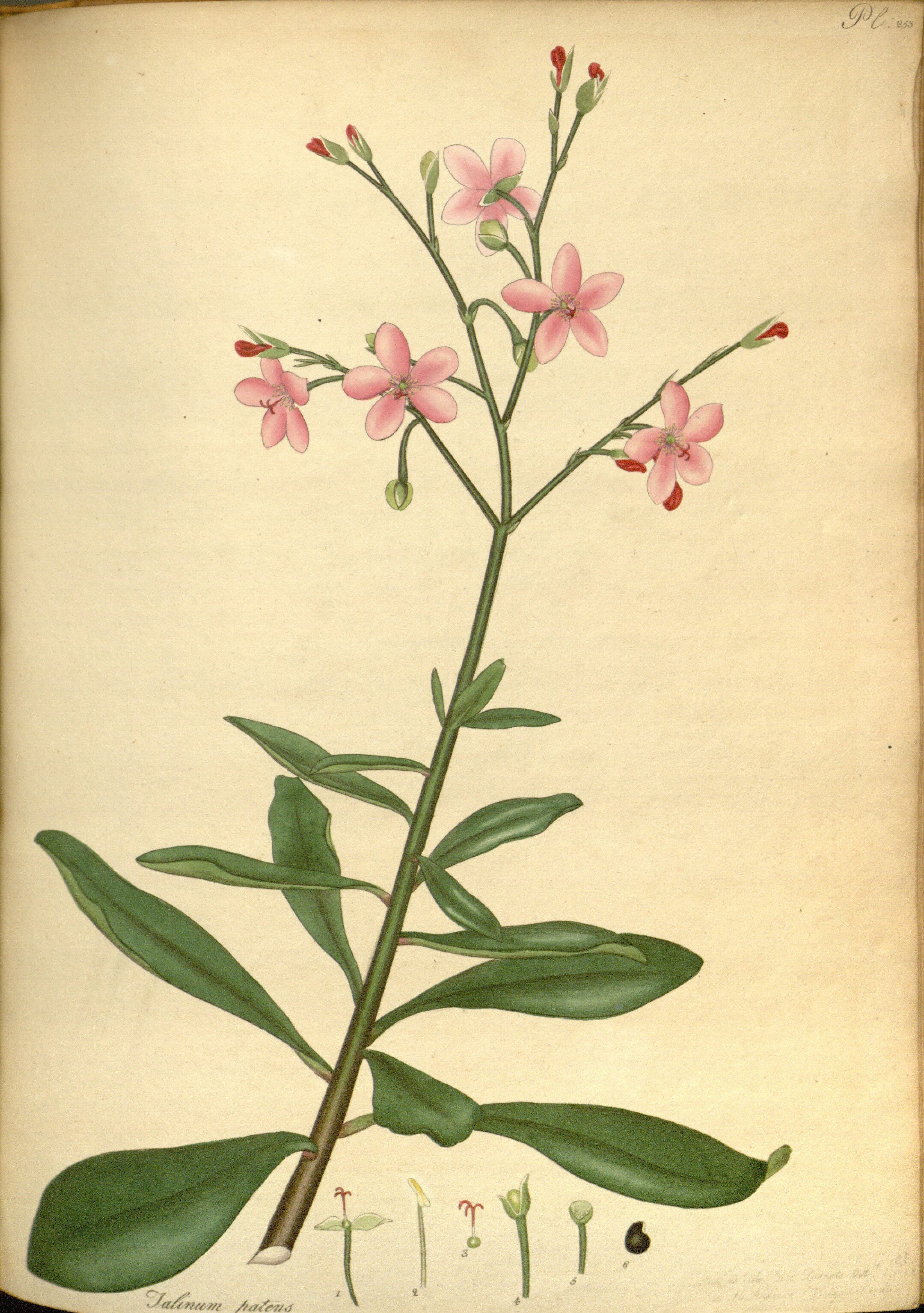 no full size  illustration available (3a)