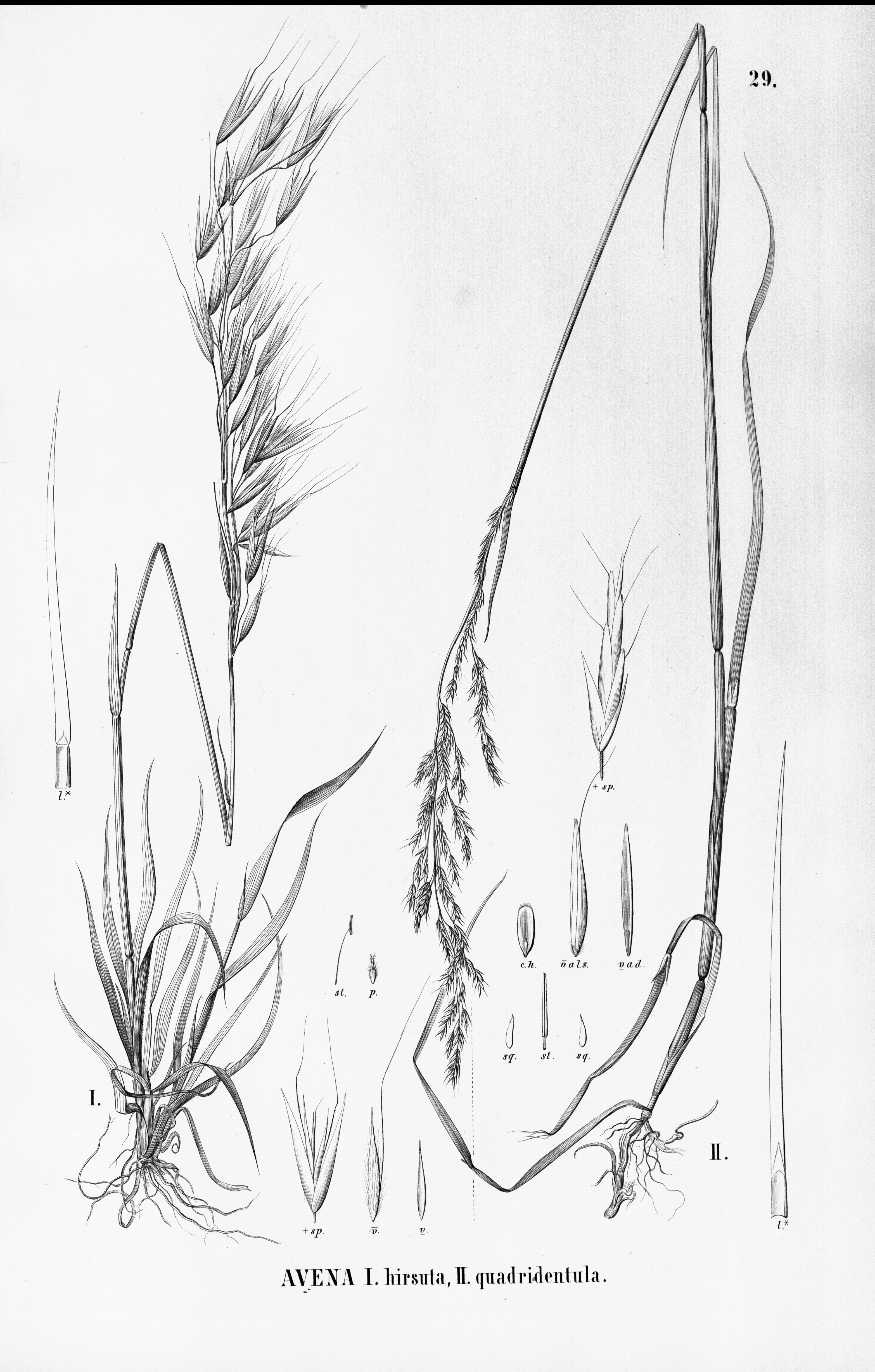 no full size  illustration available (3a)