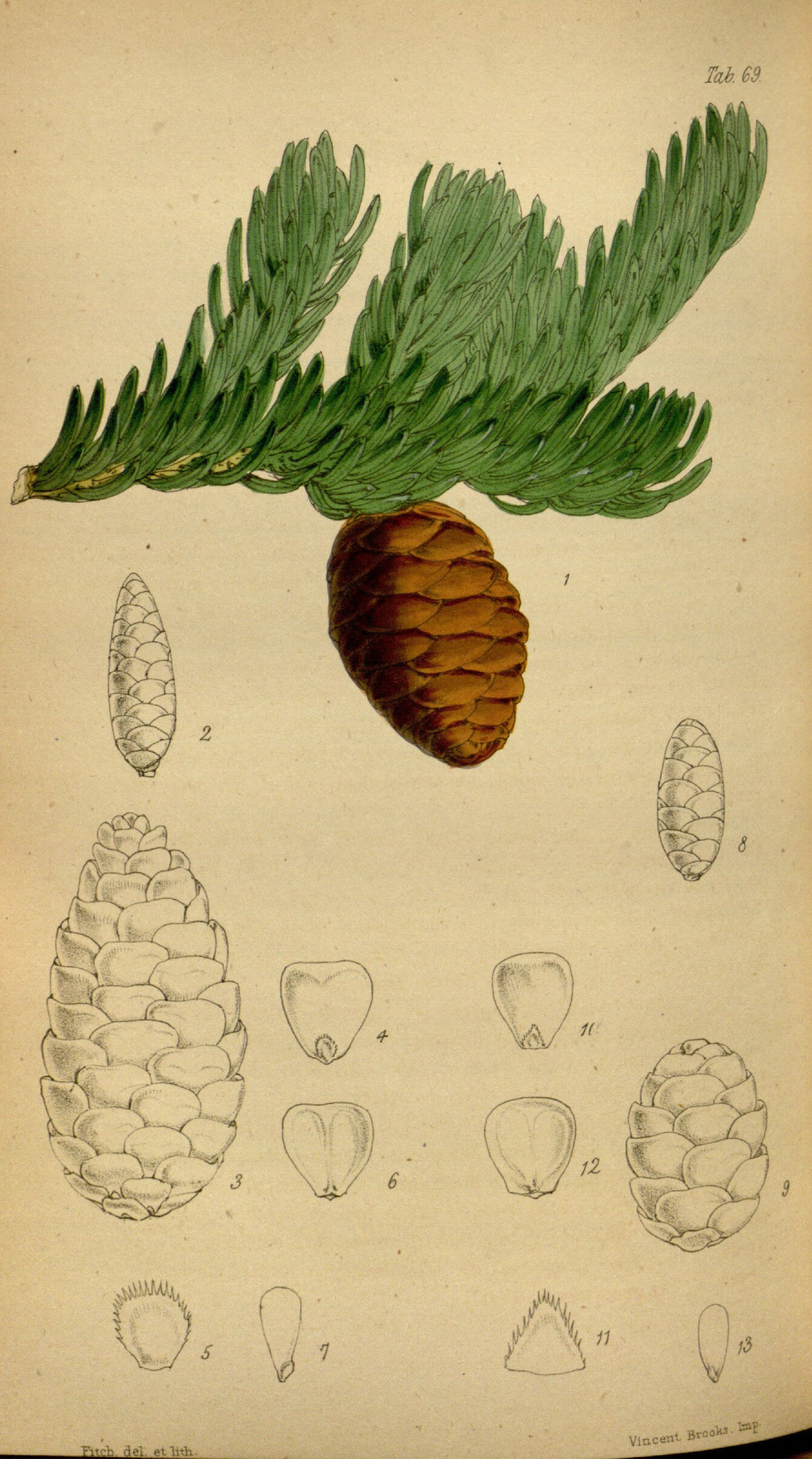 no full size  illustration available (3a)