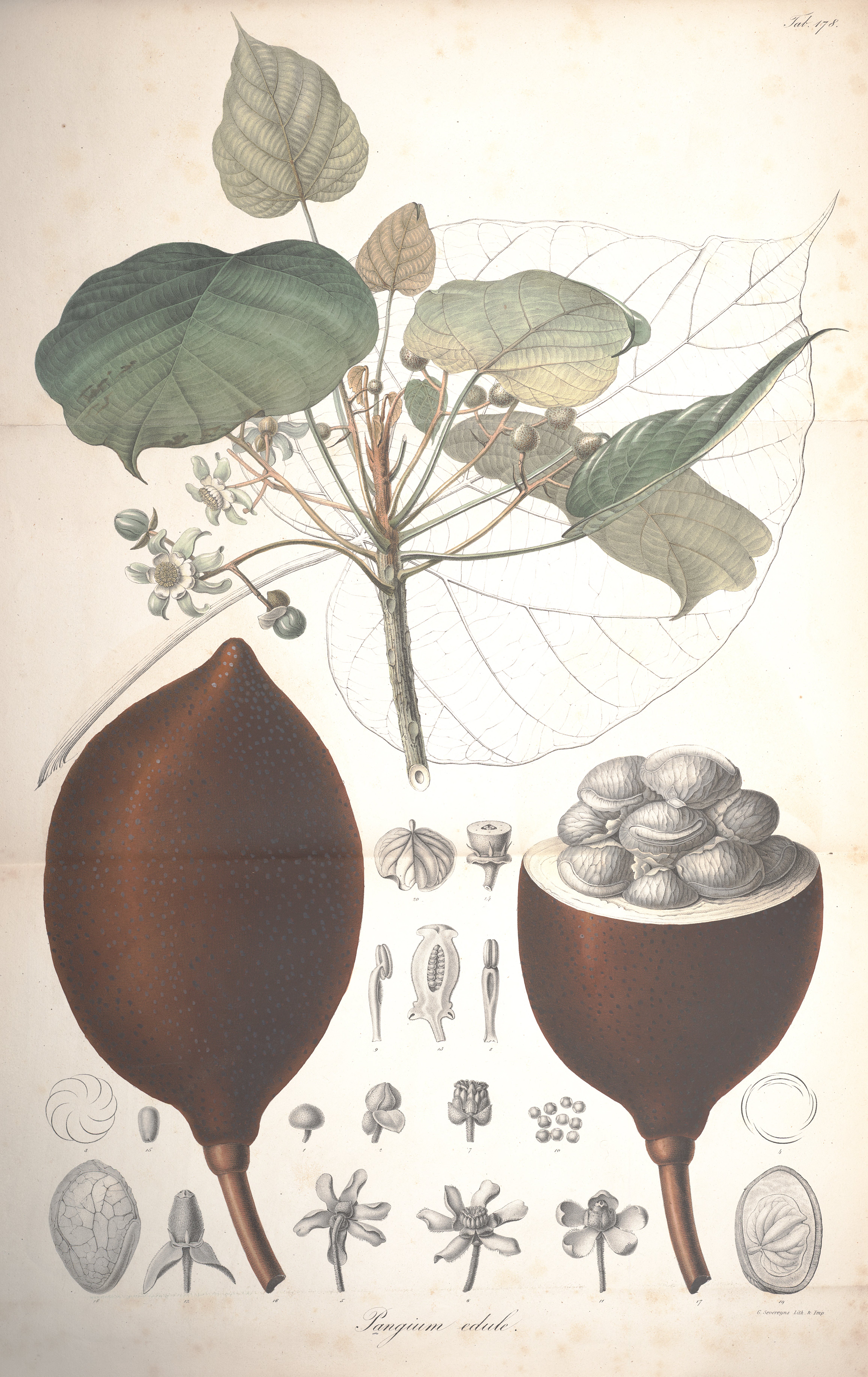 no full size  illustration available (3a)