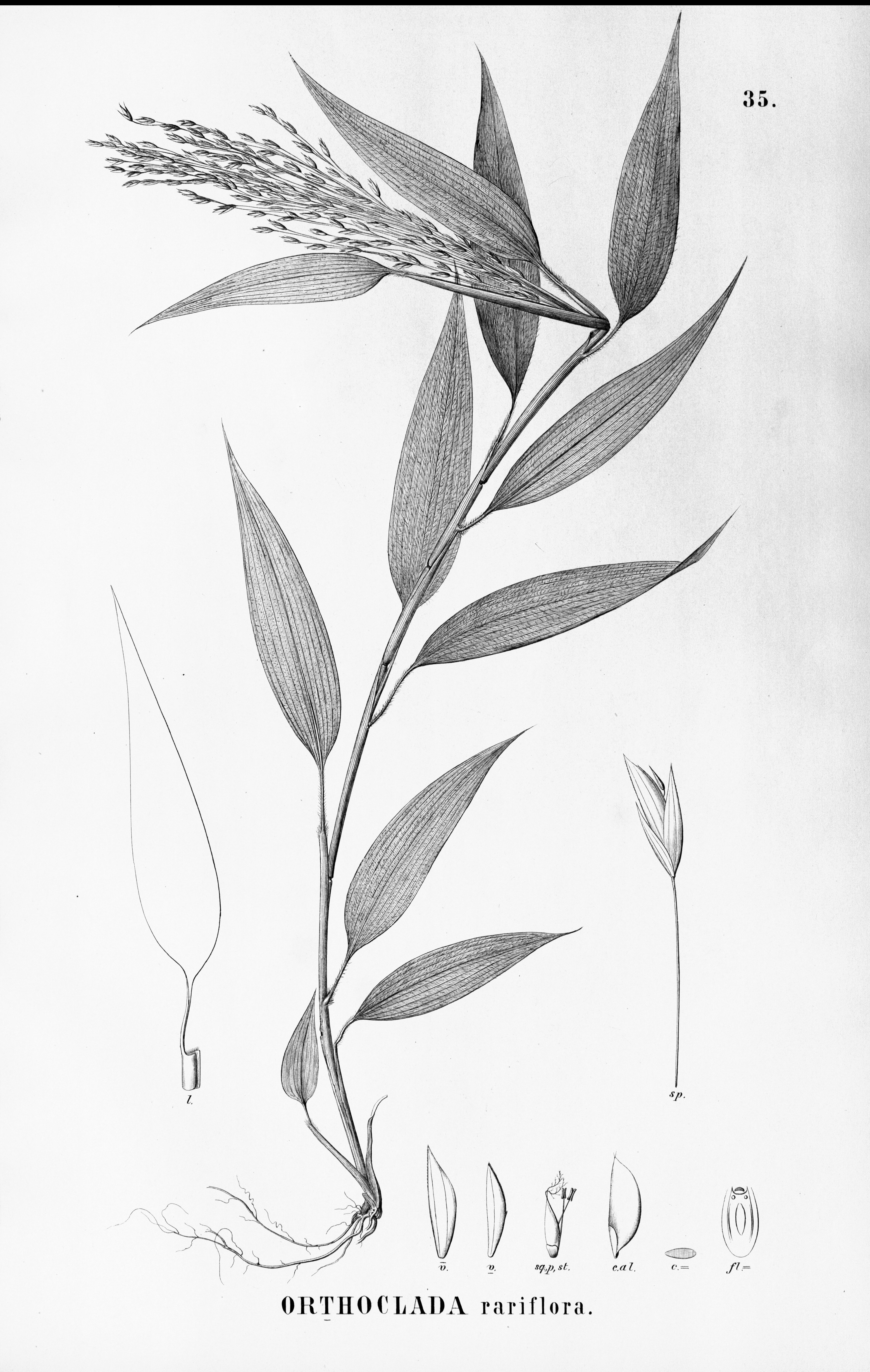 no full size  illustration available (3a)