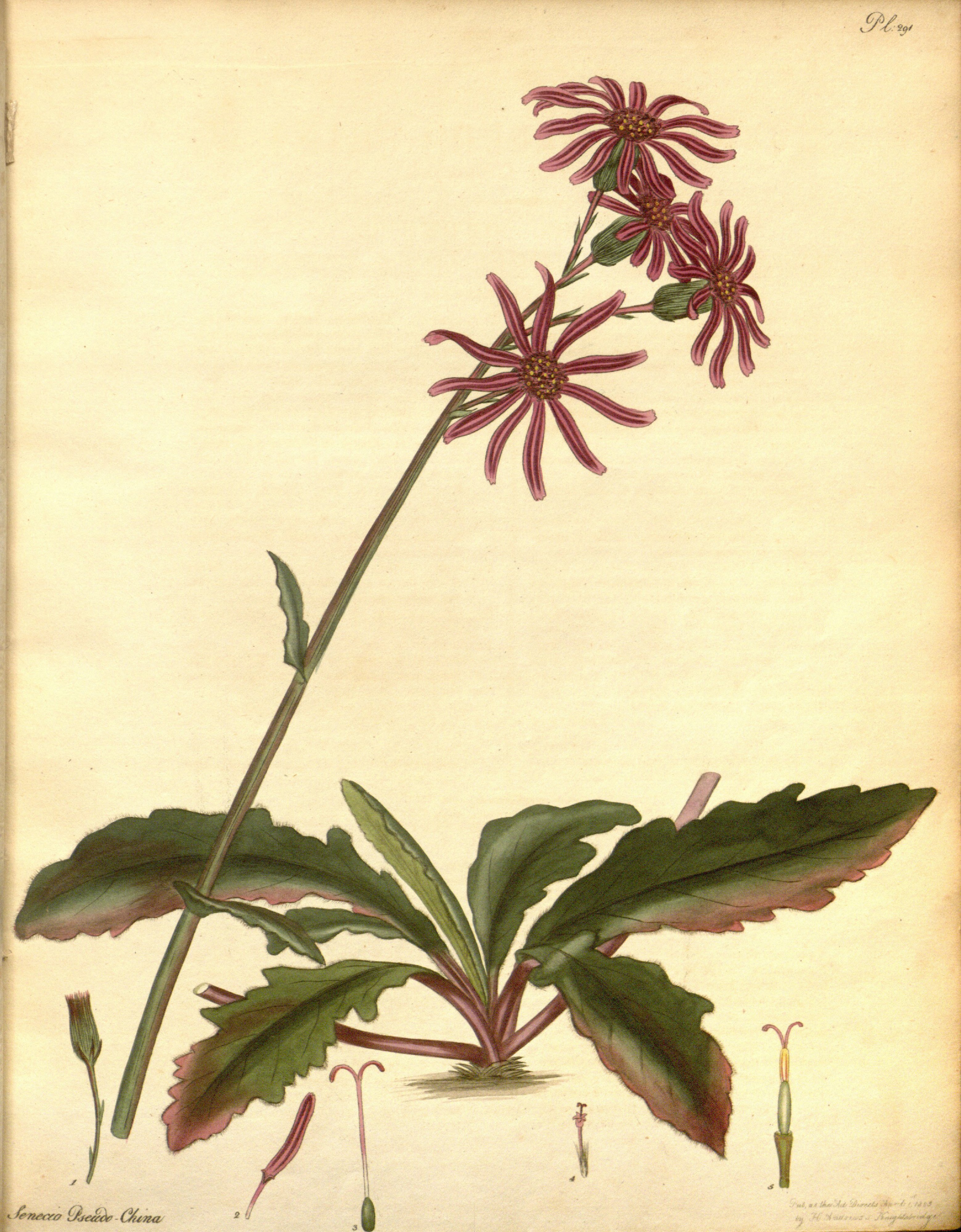 no full size  illustration available (3a)