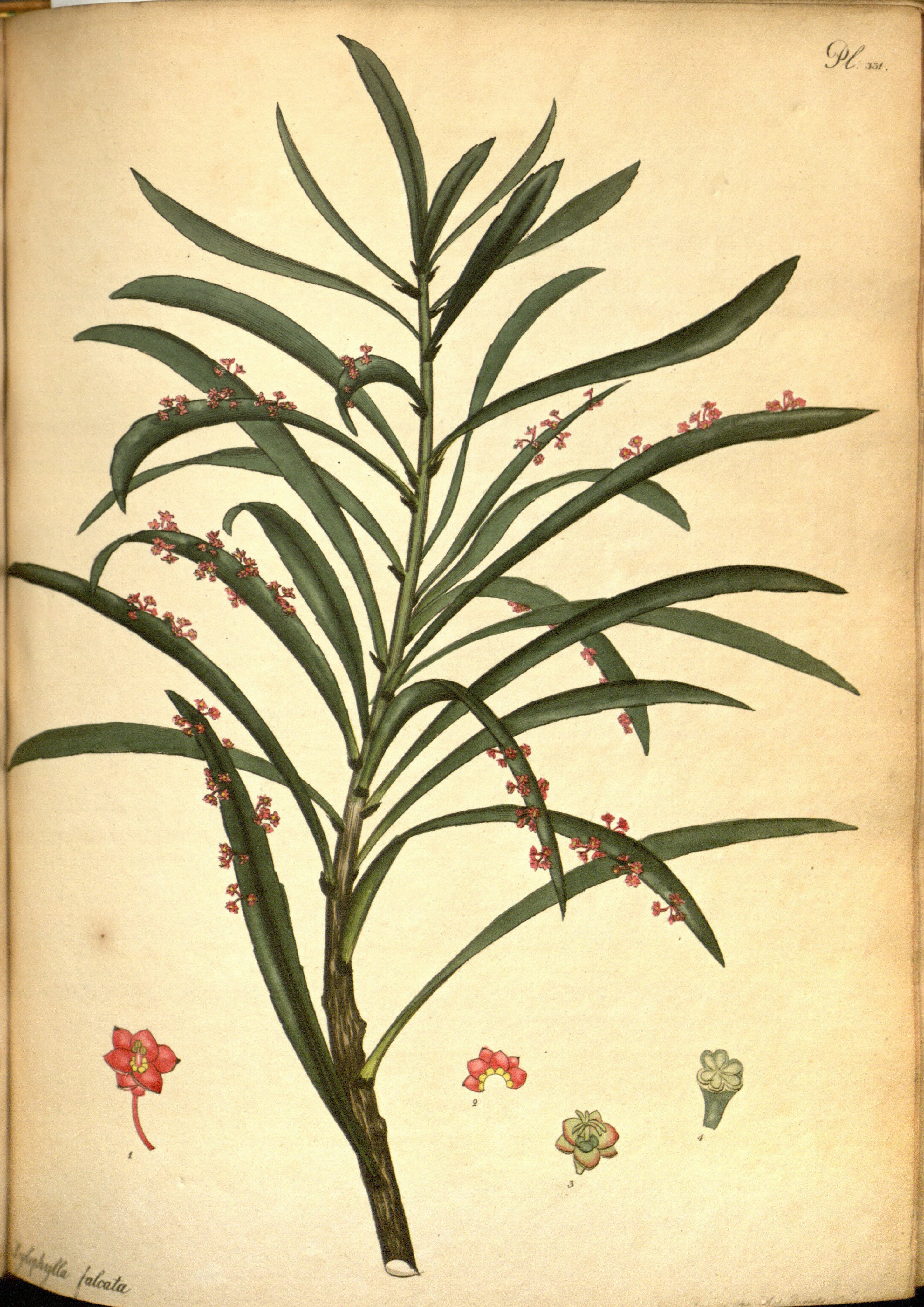 no full size  illustration available (3a)