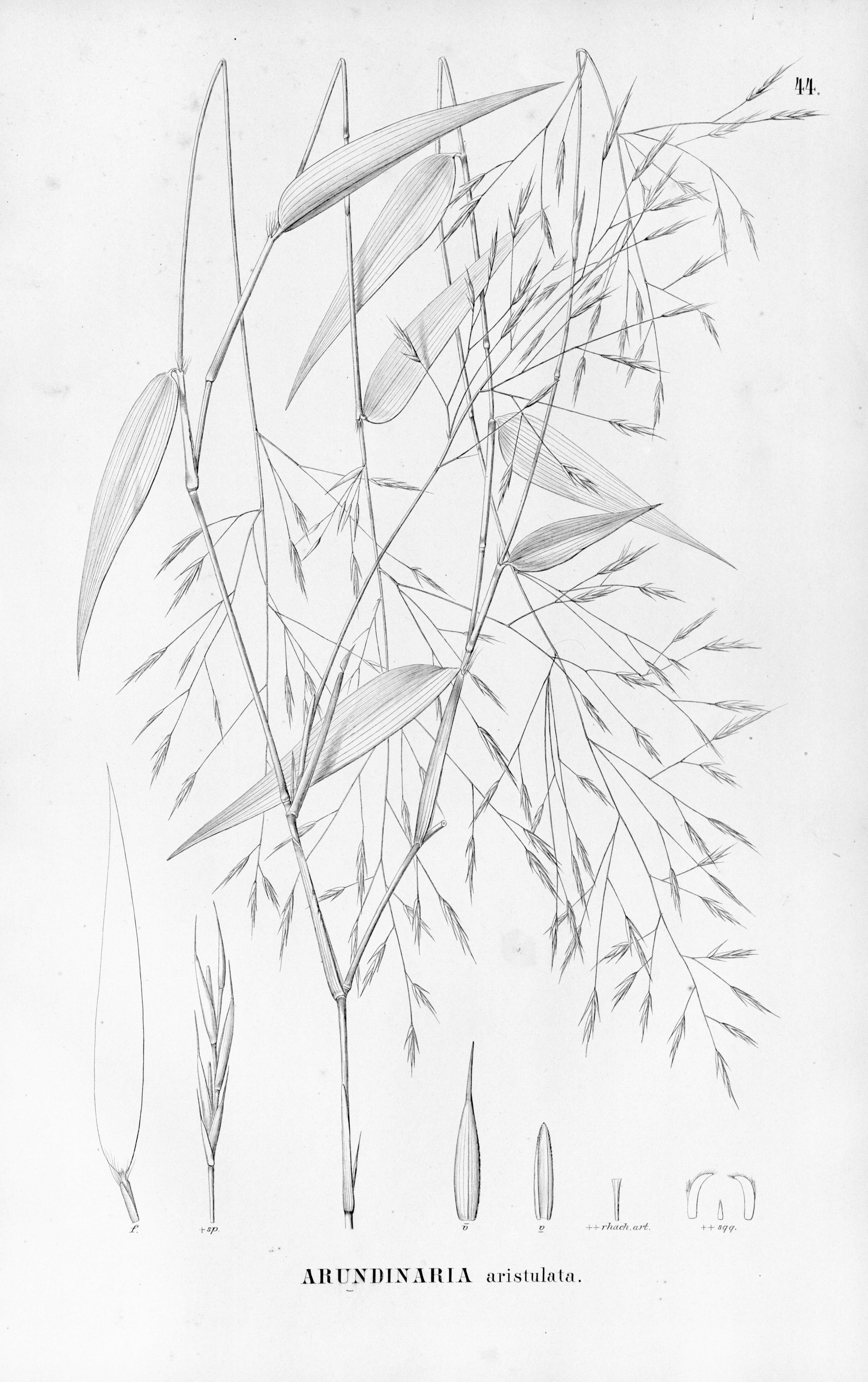 no full size  illustration available (3a)