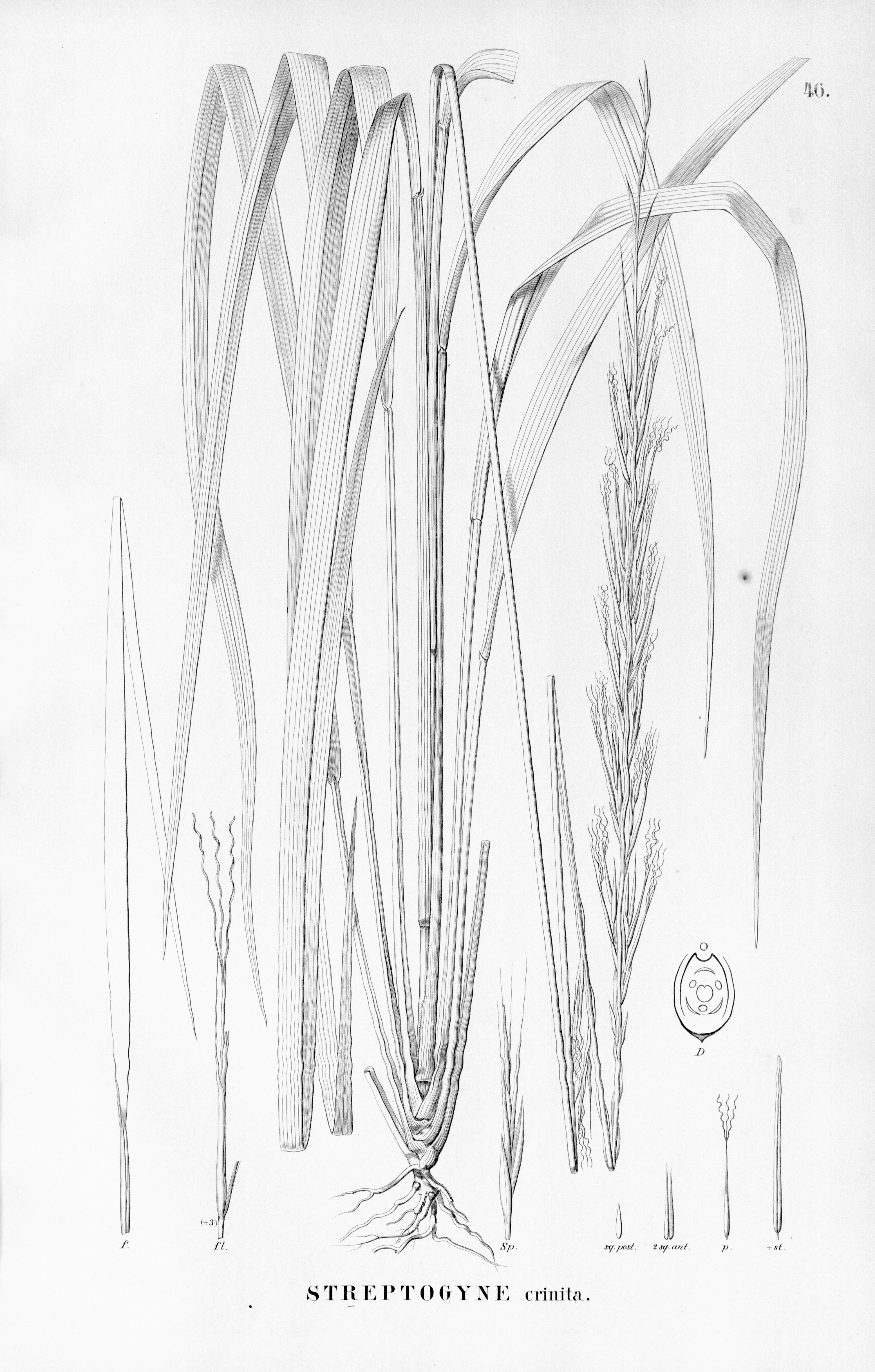 no full size  illustration available (3a)