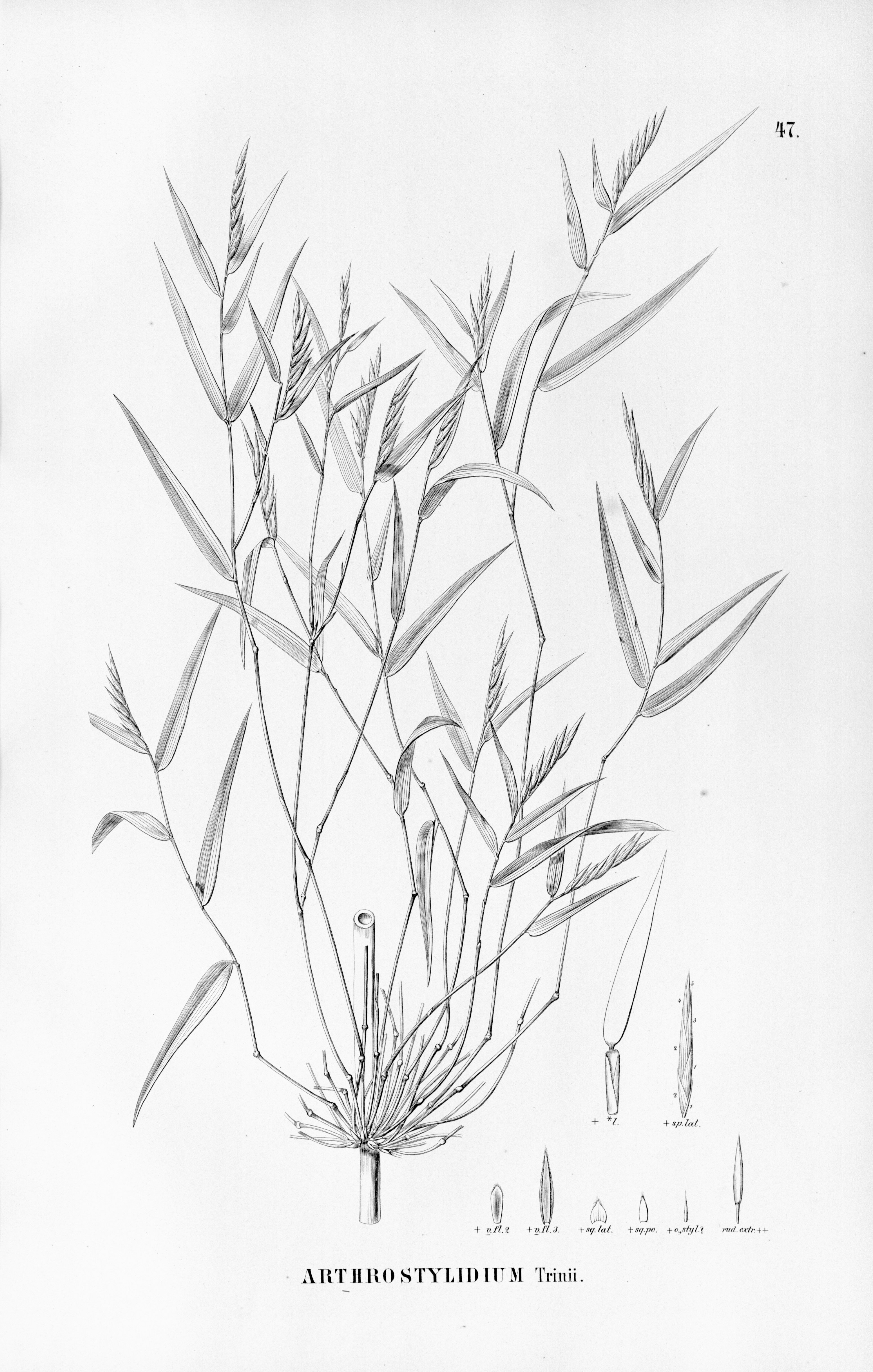 no full size  illustration available (3a)