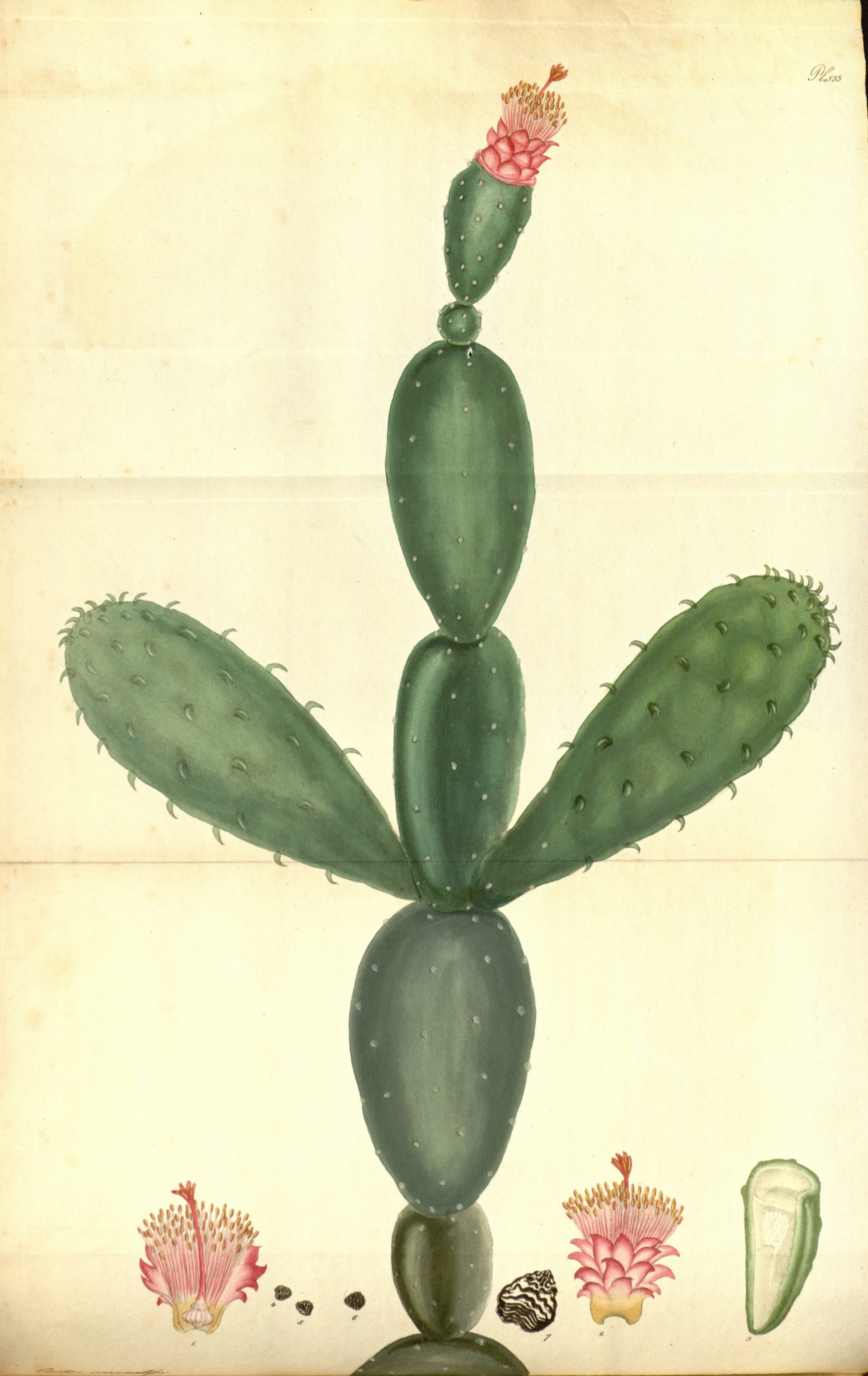 no full size  illustration available (3a)