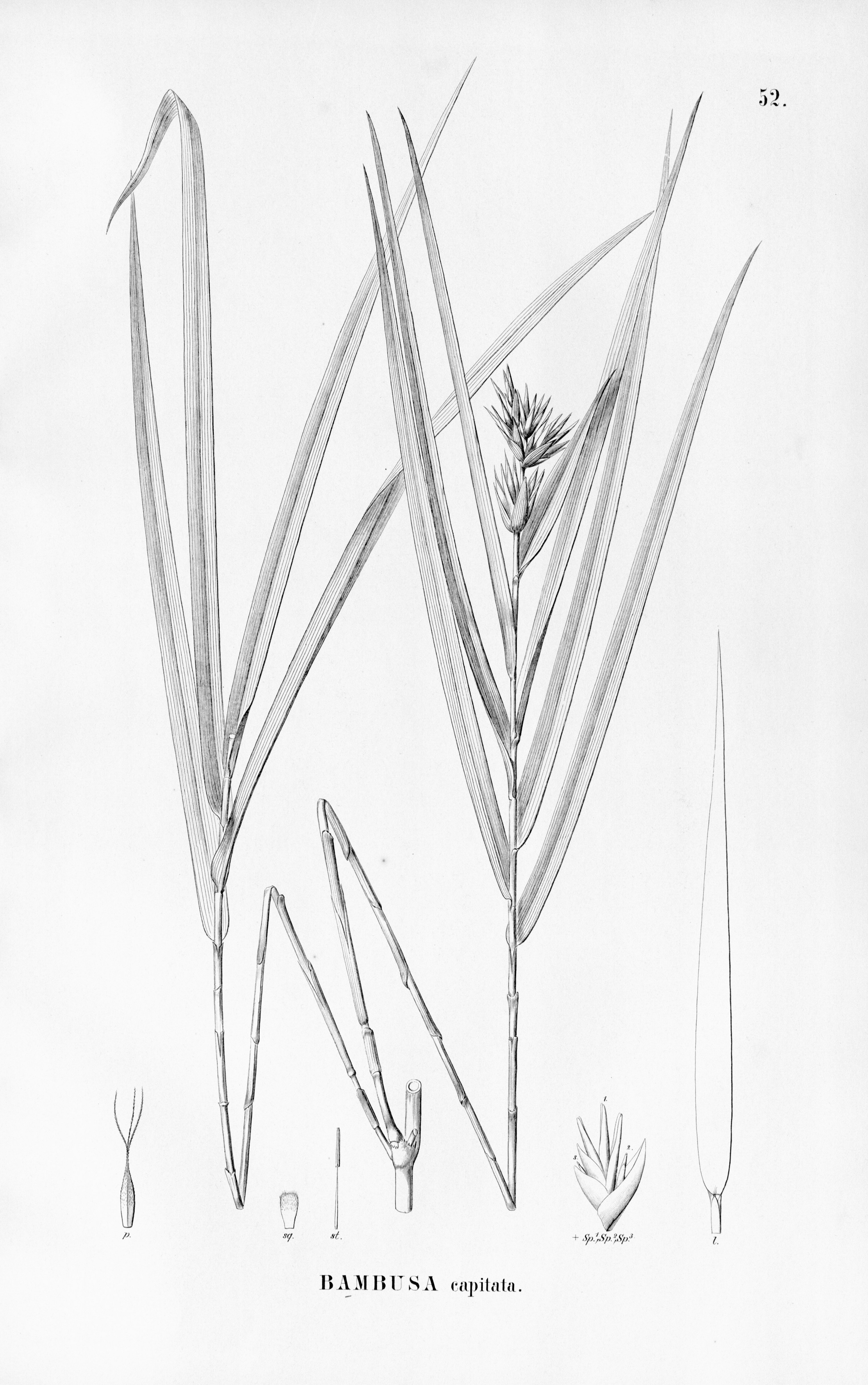 no full size  illustration available (3a)