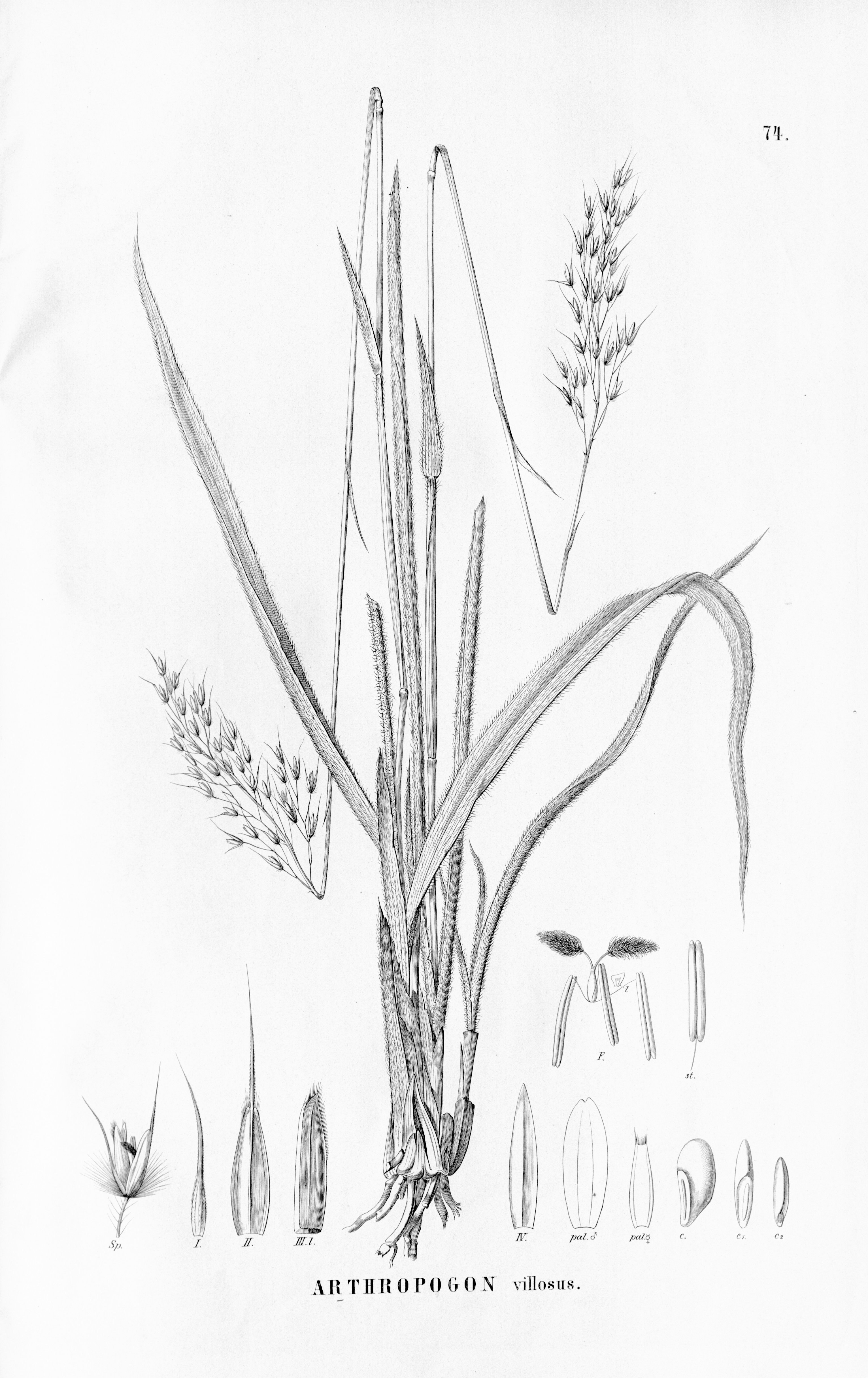 no full size  illustration available (3a)