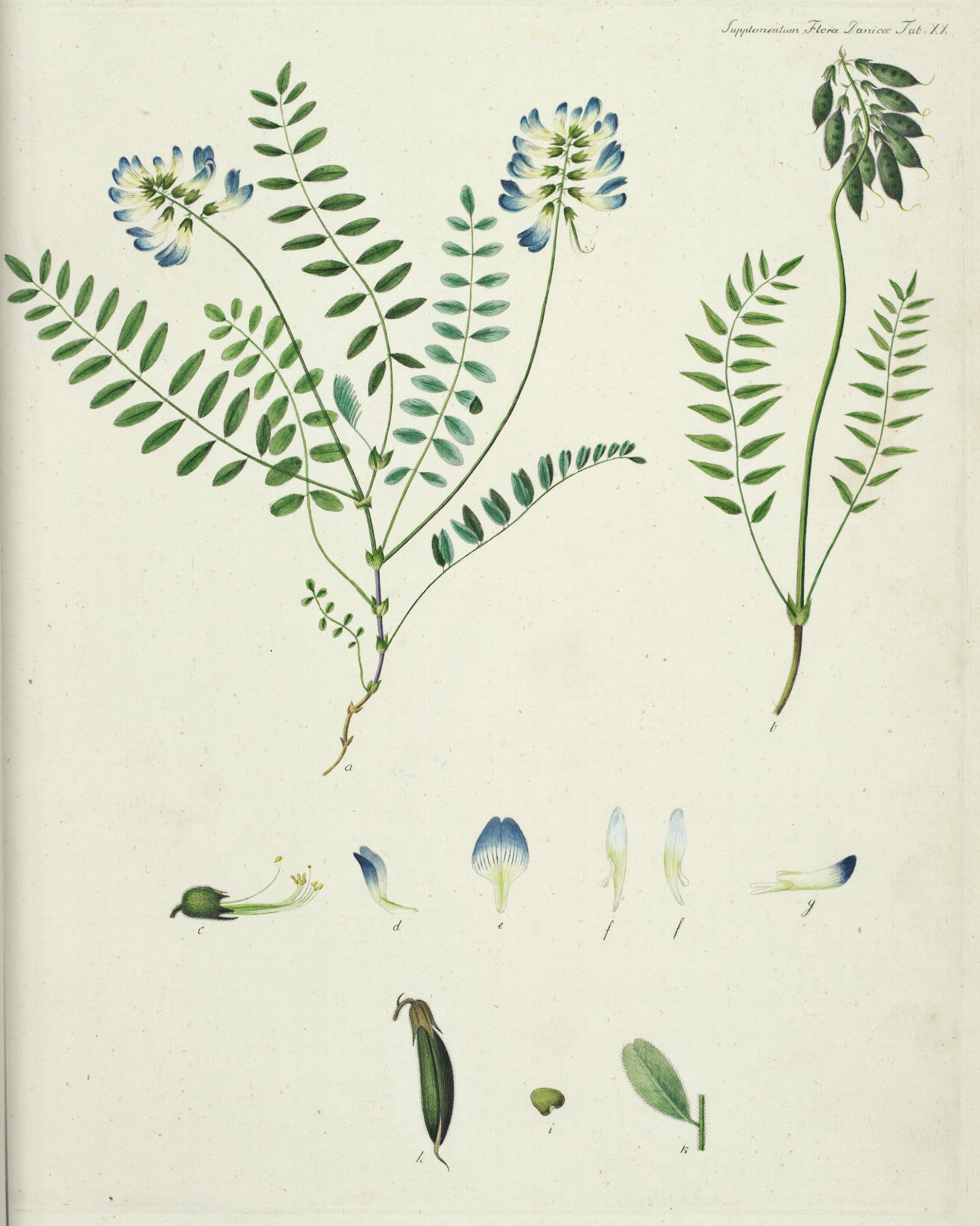 no full size  illustration available (3a)