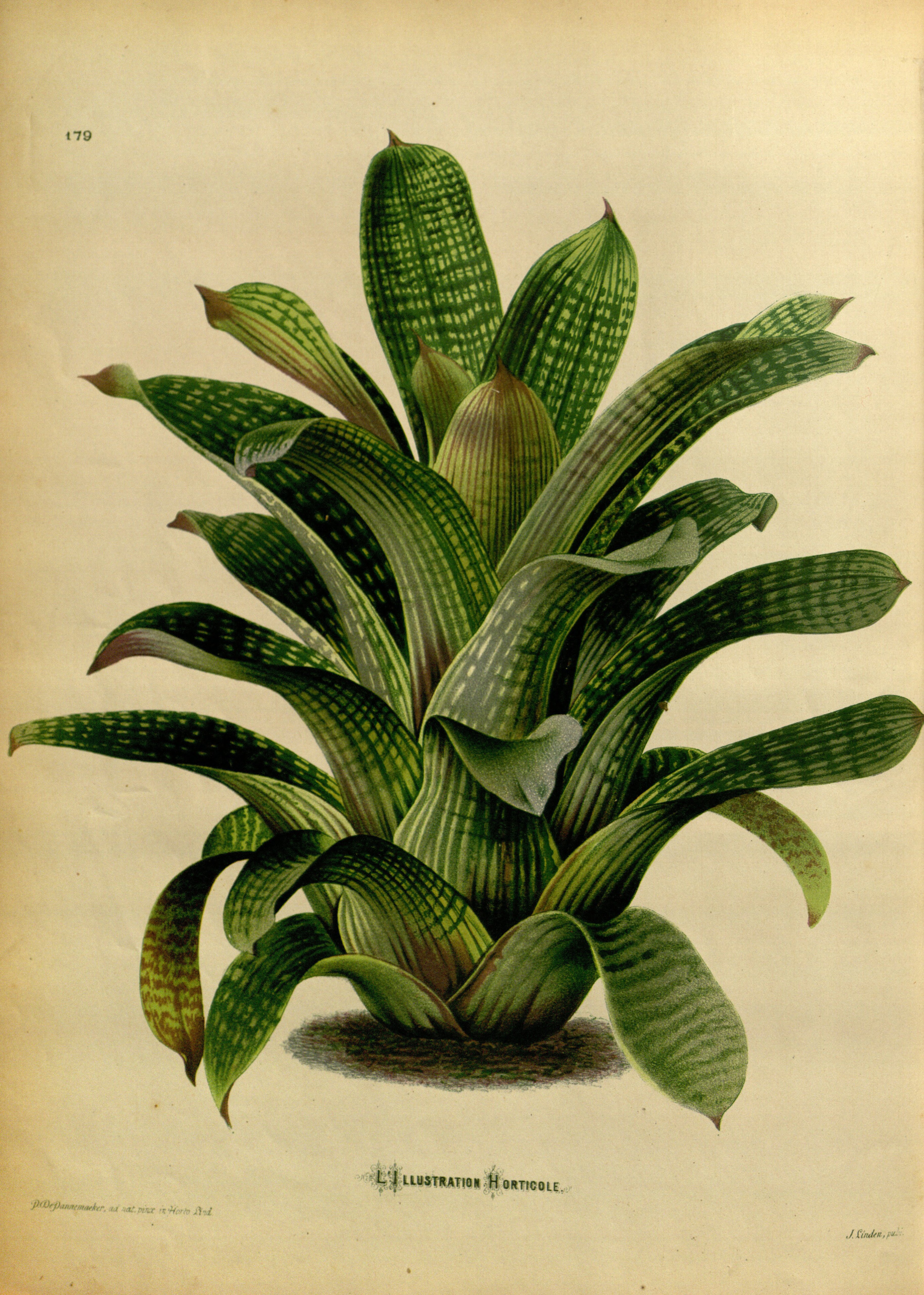 no full size  illustration available (3a)