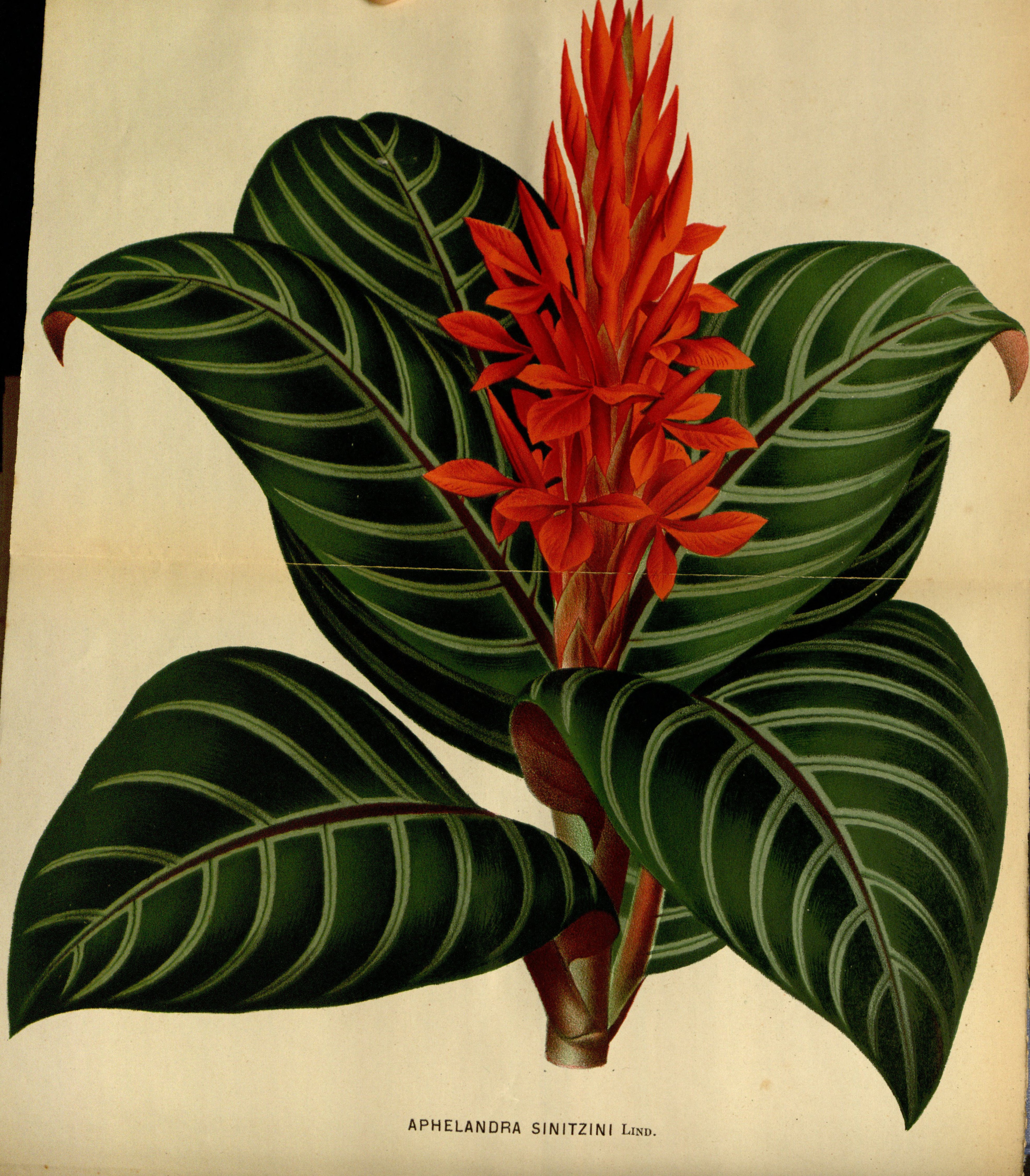 no full size  illustration available (3a)