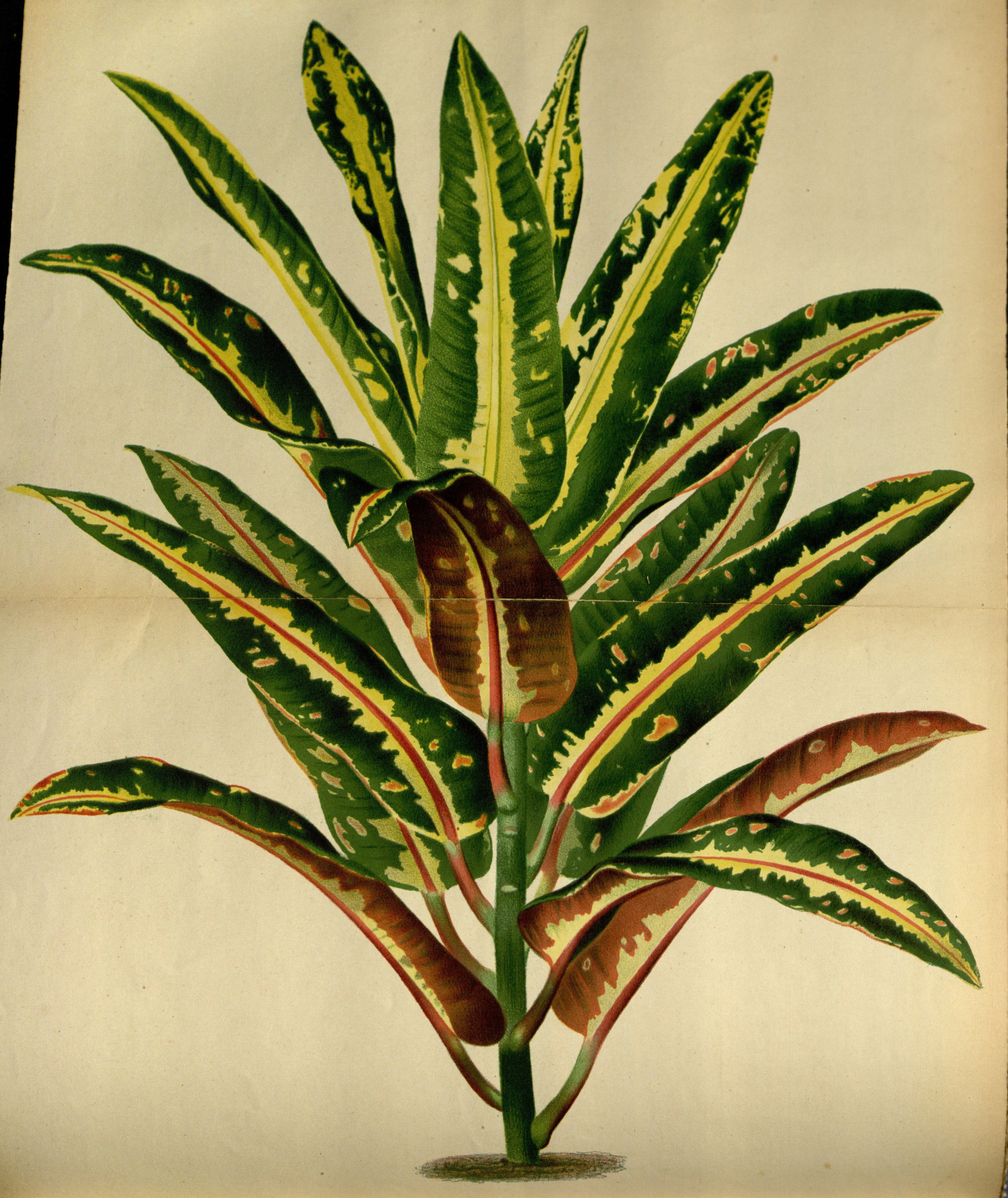 no full size  illustration available (3a)