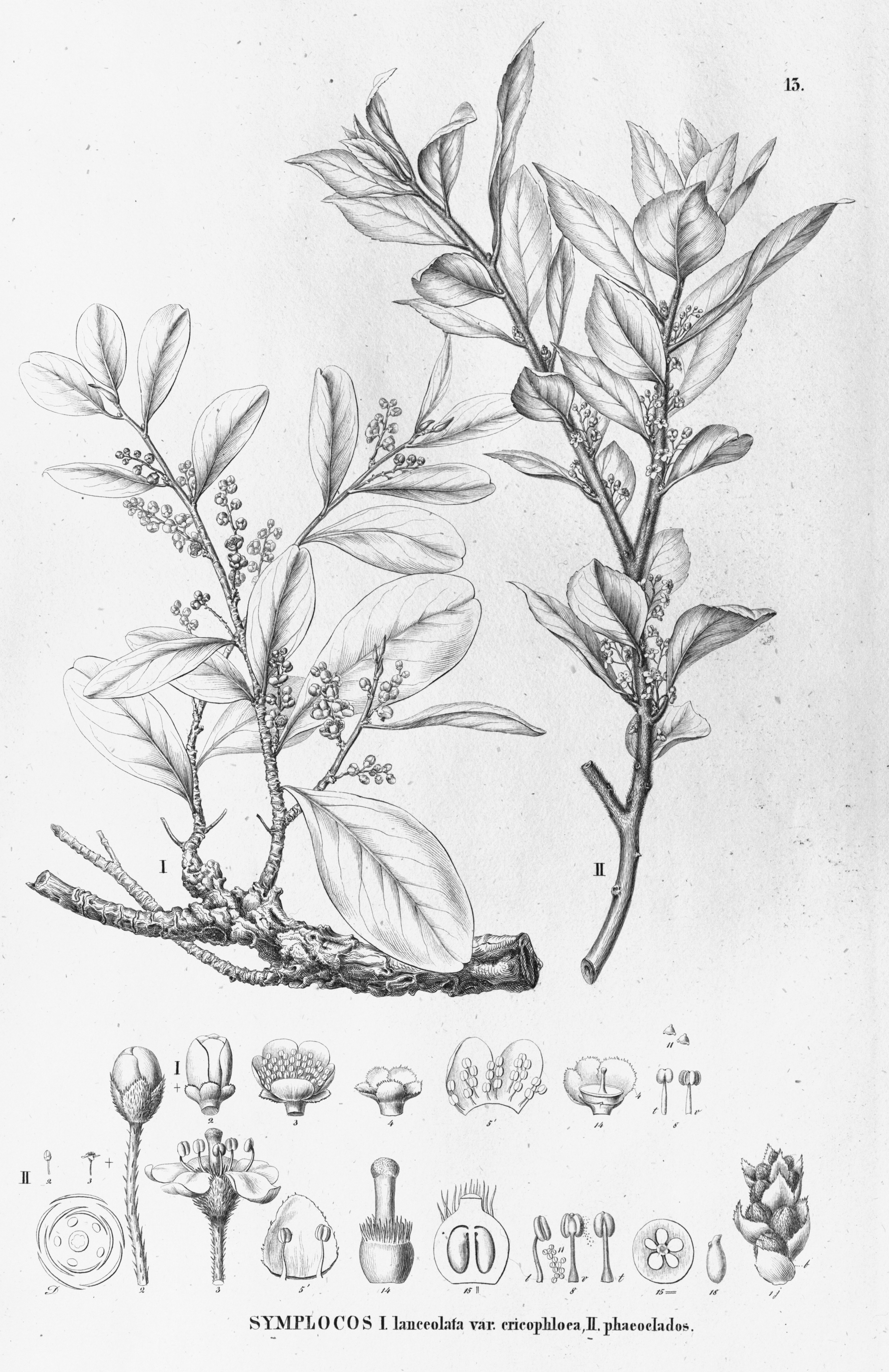 no full size  illustration available (3a)