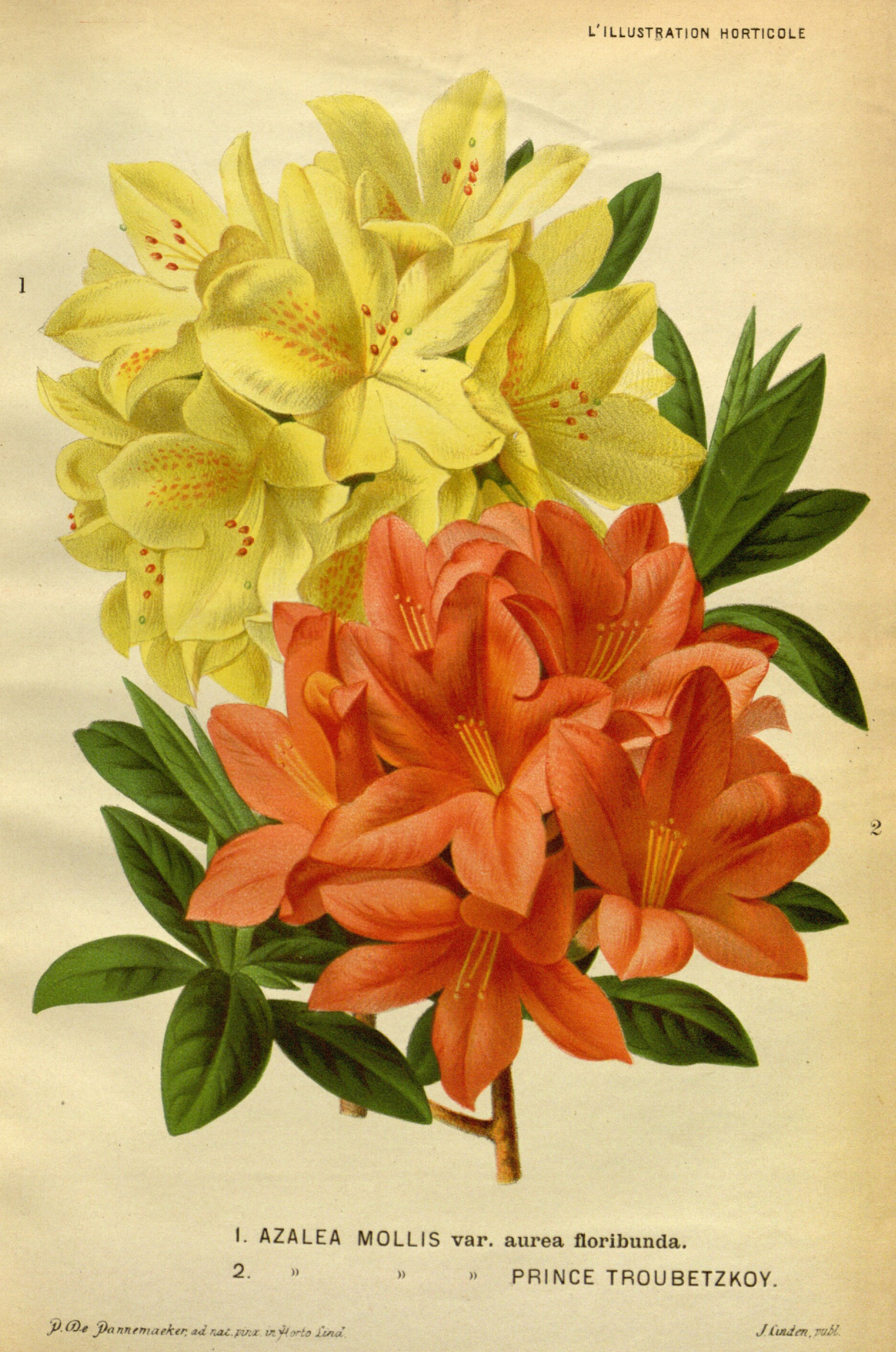 no full size  illustration available (3a)