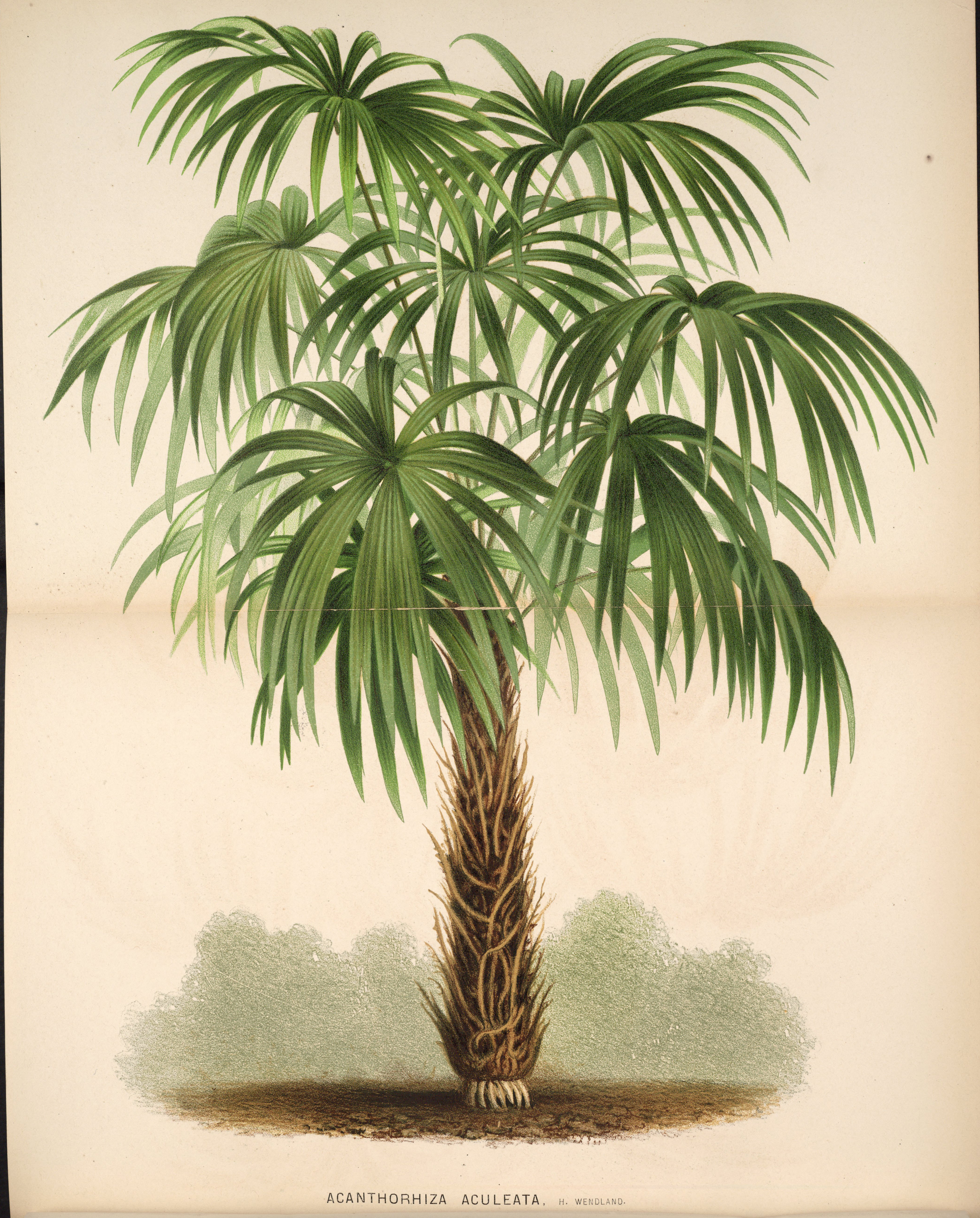 no full size  illustration available (3a)