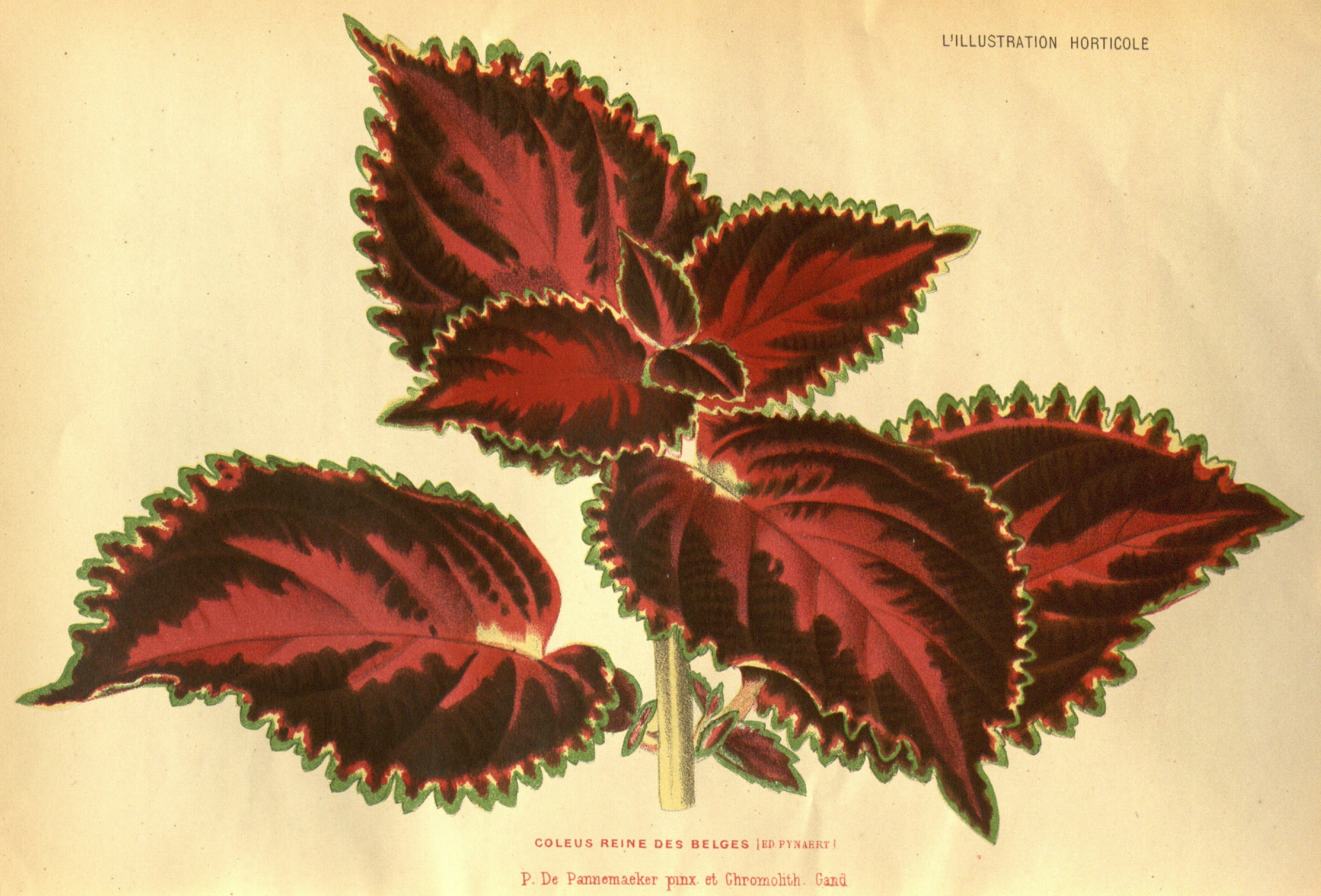 no full size  illustration available (3a)