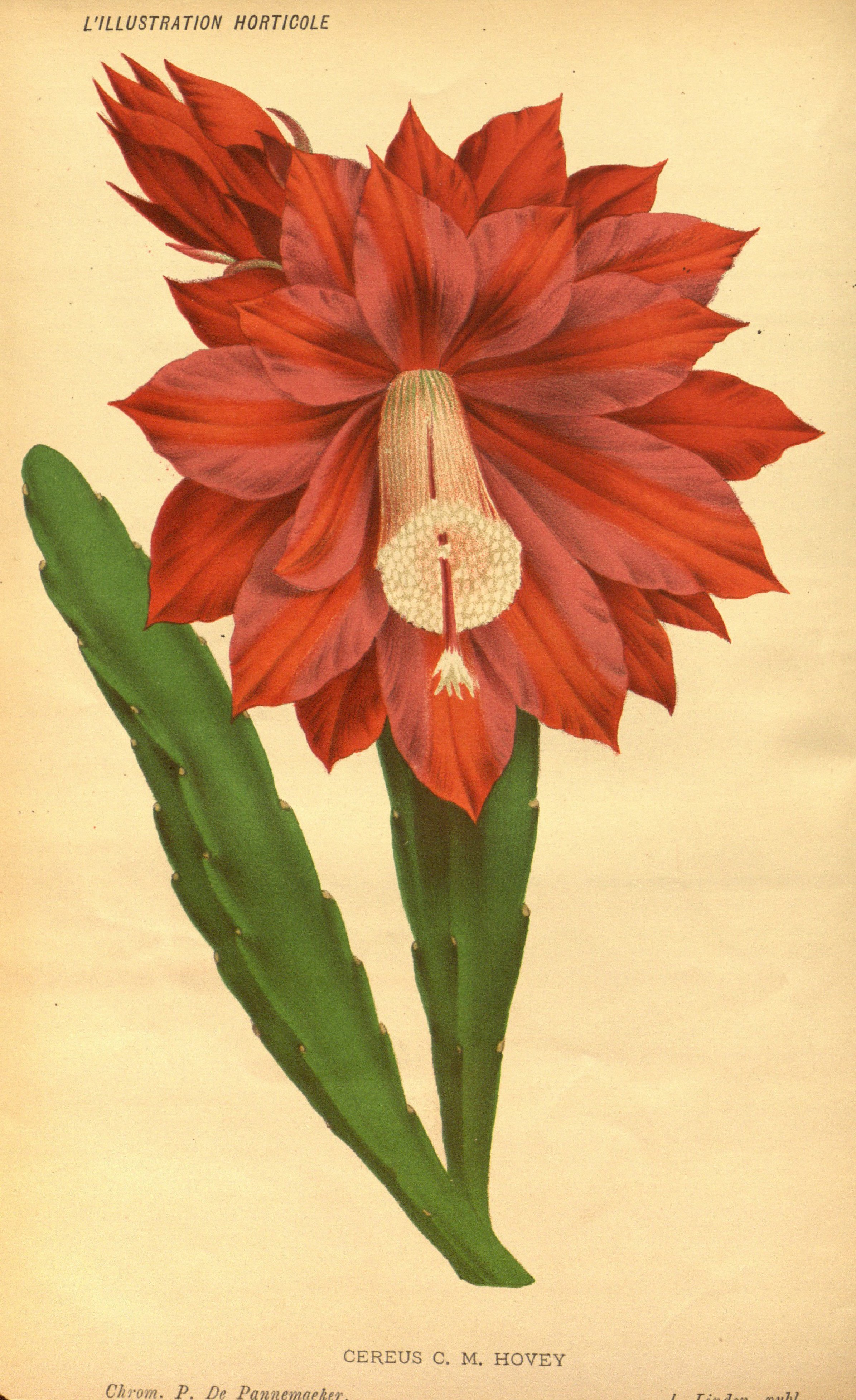 no full size  illustration available (3a)