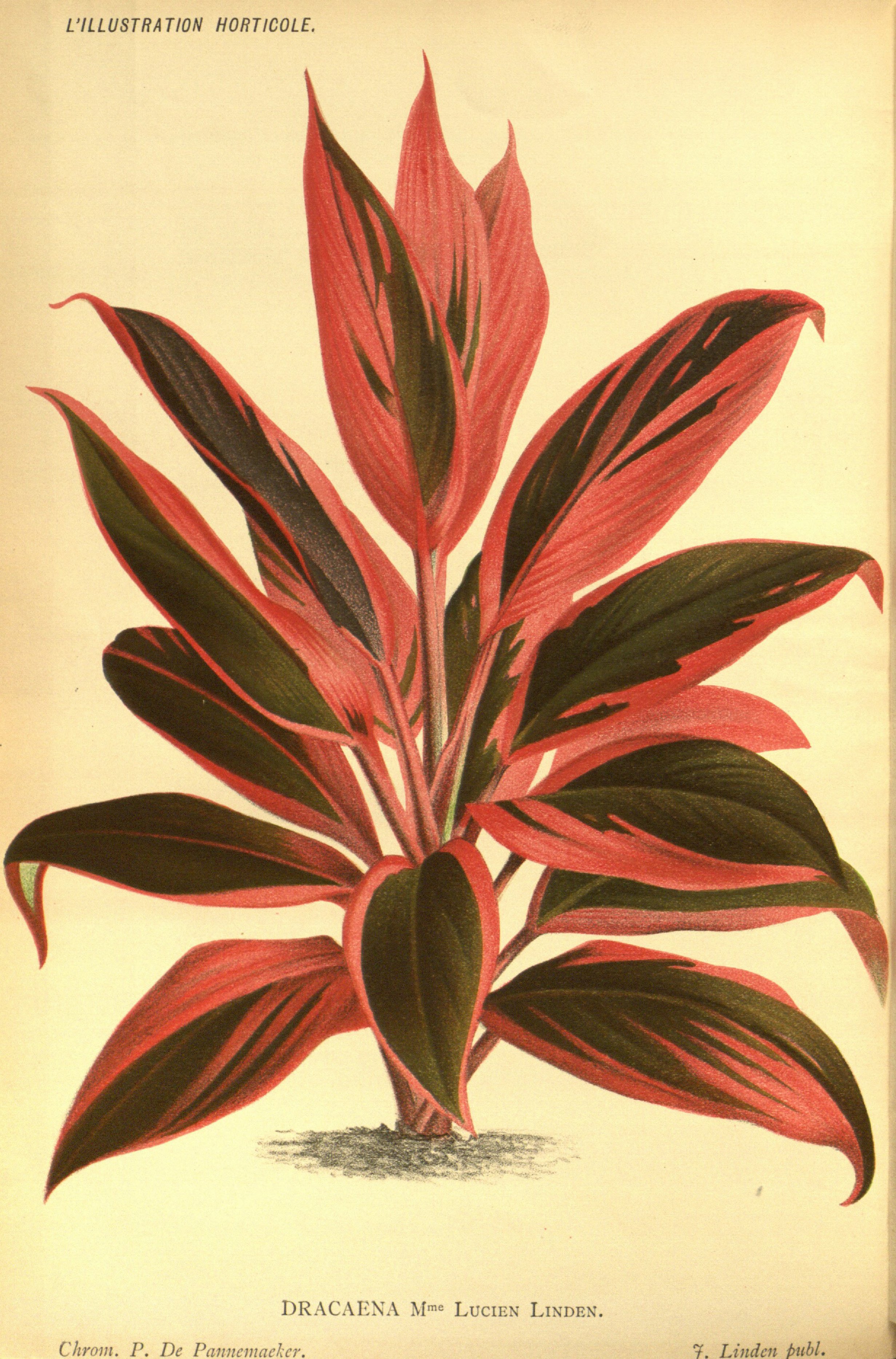 no full size  illustration available (3a)