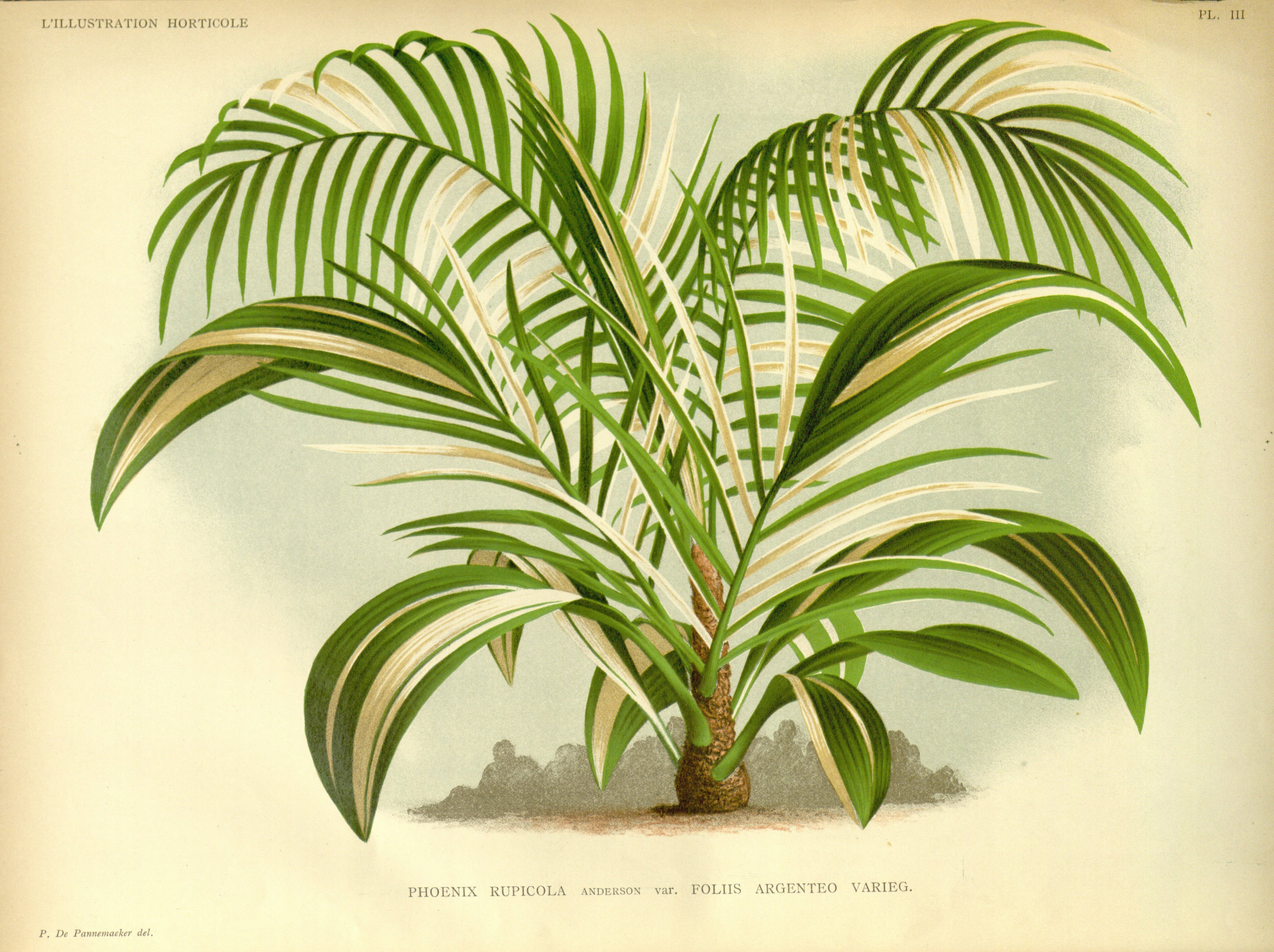 no full size  illustration available (3a)