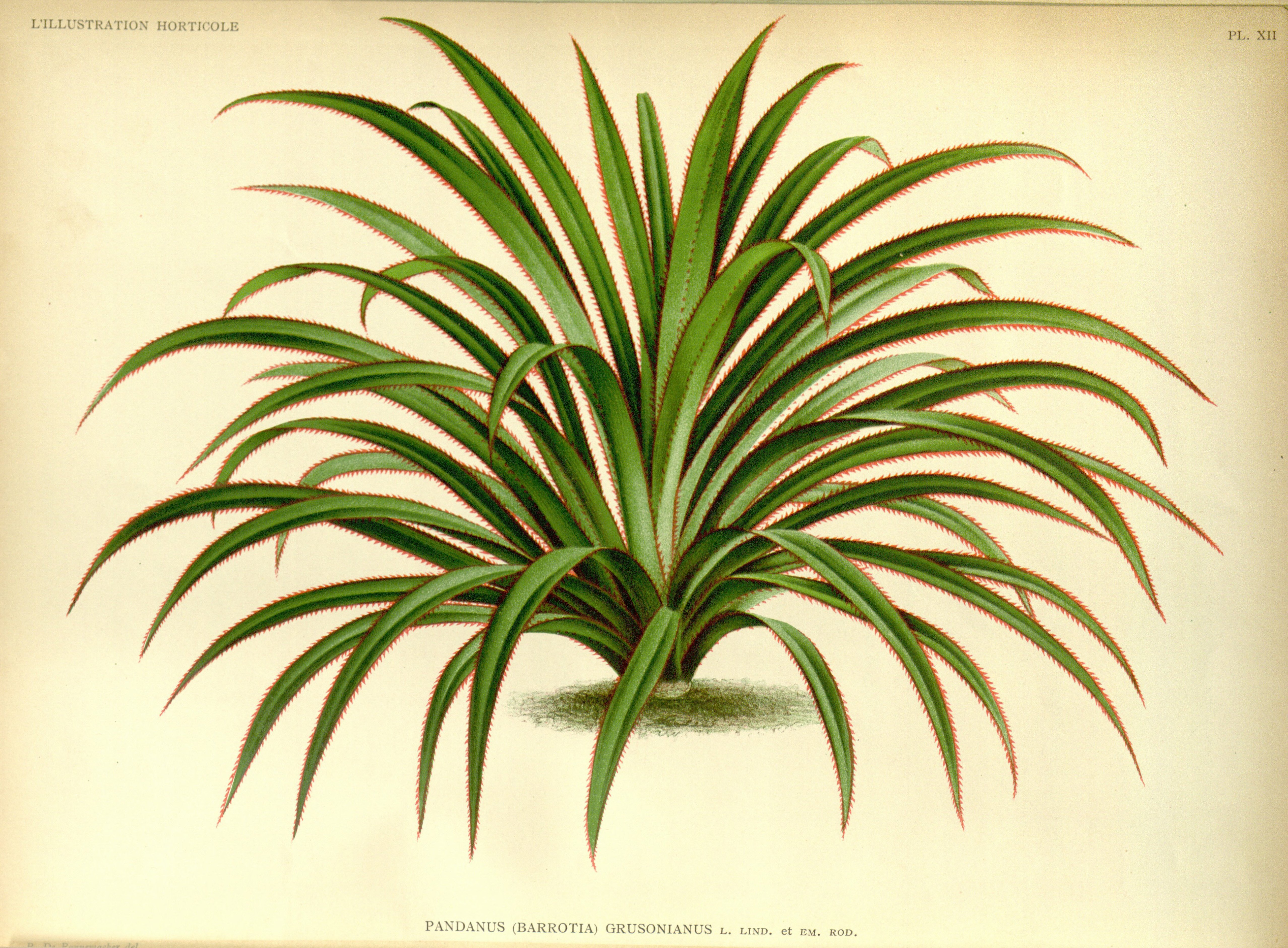 no full size  illustration available (3a)