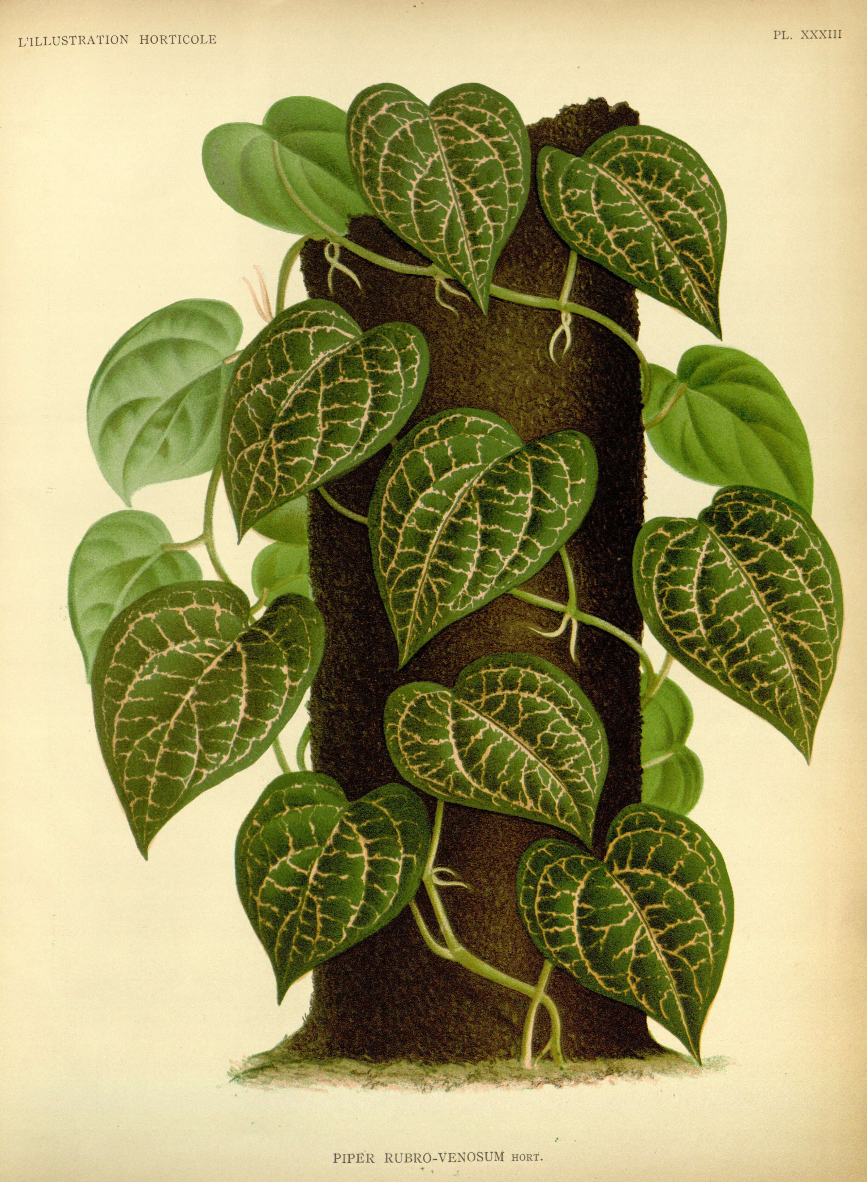 no full size  illustration available (3a)