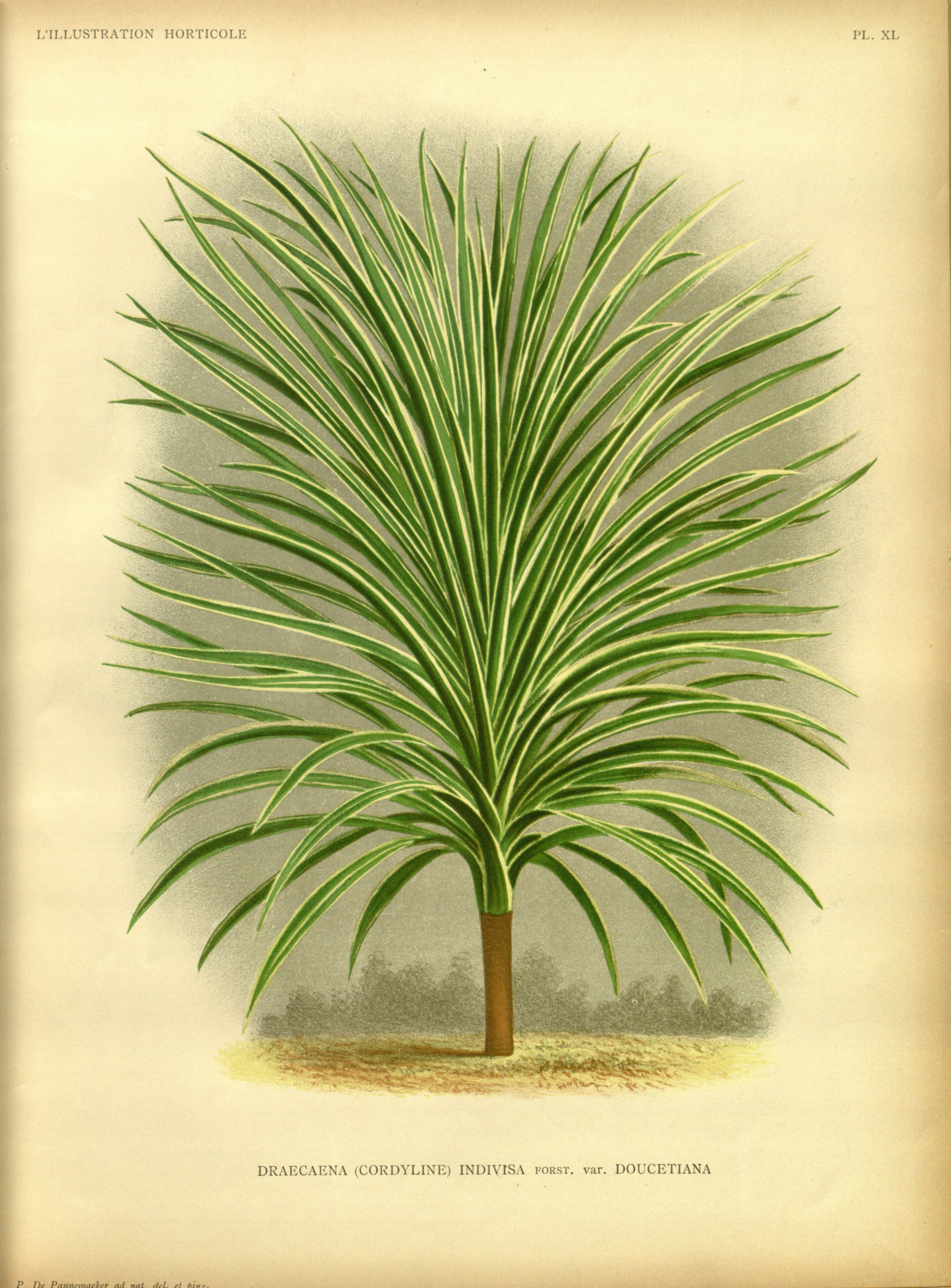 no full size  illustration available (3a)